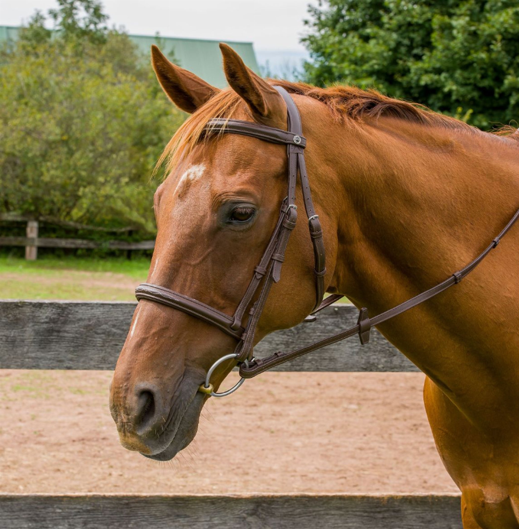 Henri De Rivel Kushy Raised Fancy Stitched Bridle