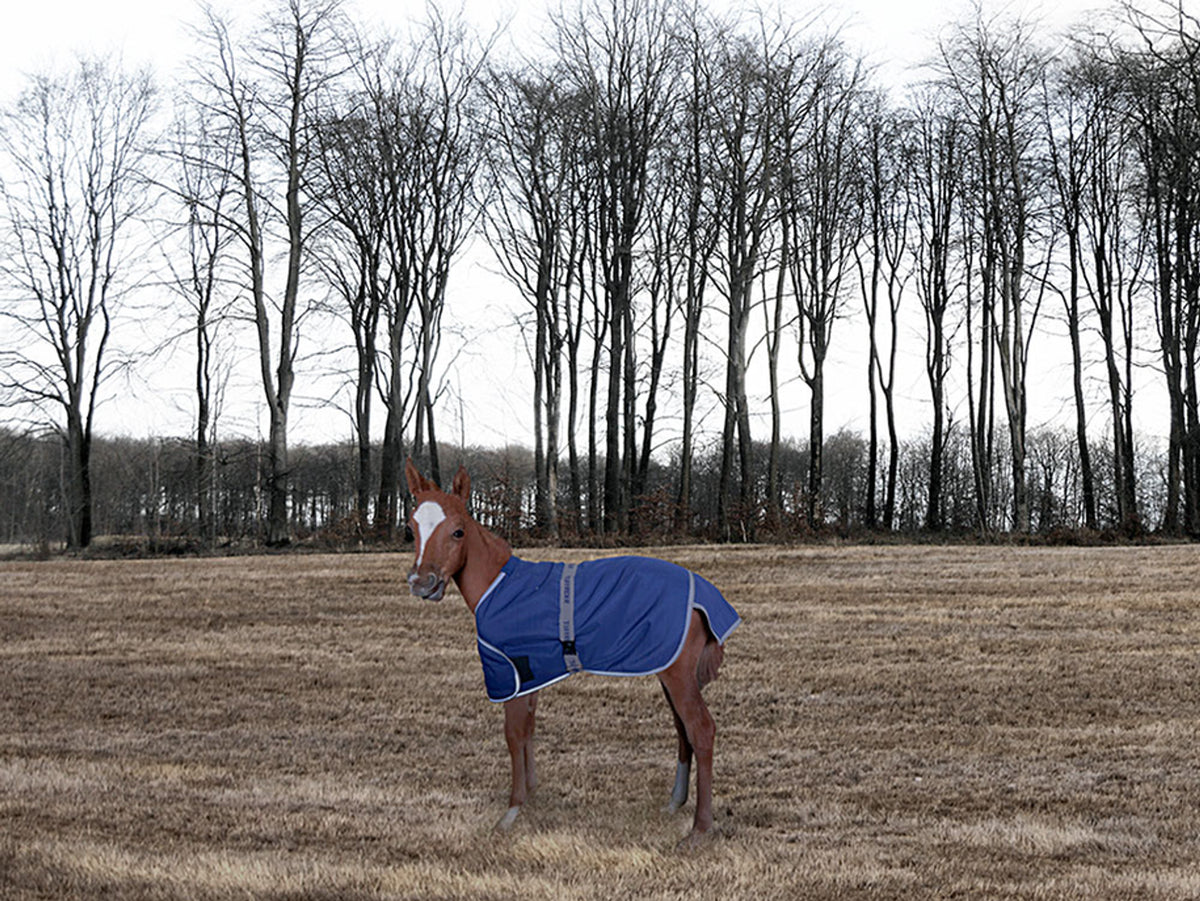 Tuffrider 1200D Ripstop Foal Adjustable Turnout Blanket