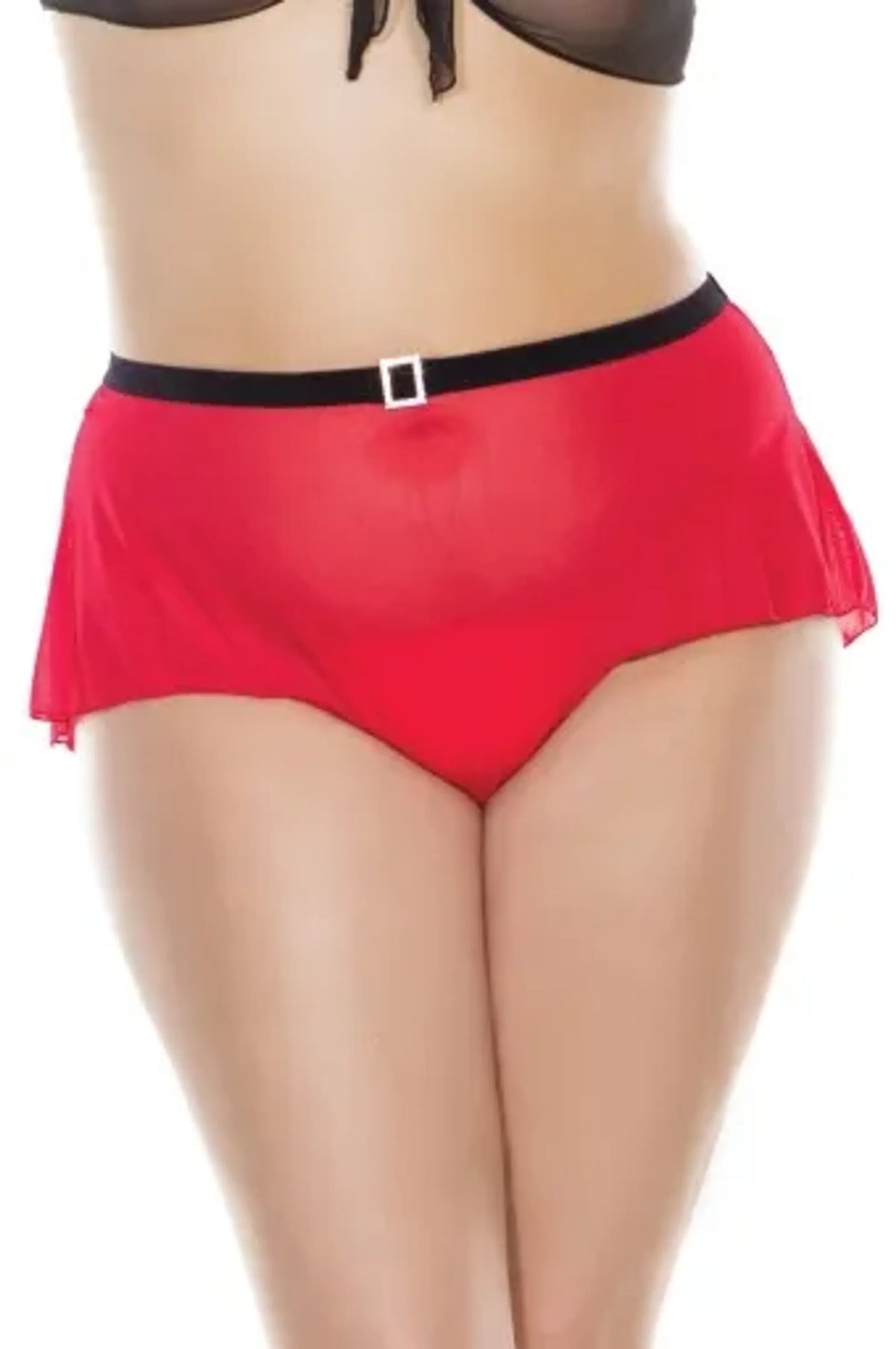 Coquette Highwaisted Panty