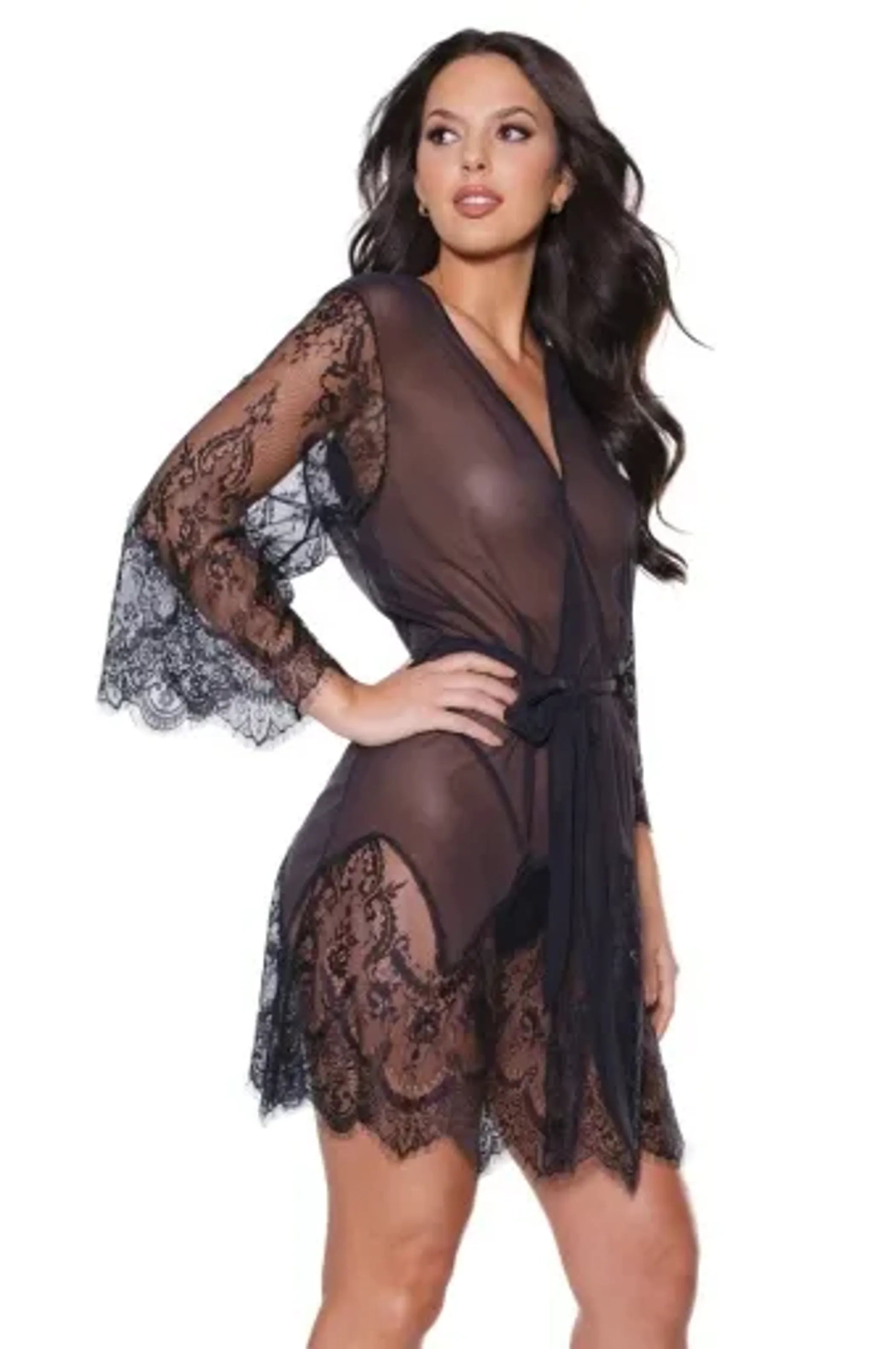 Coquette Sheer Nylon/Lace Robe With Sash