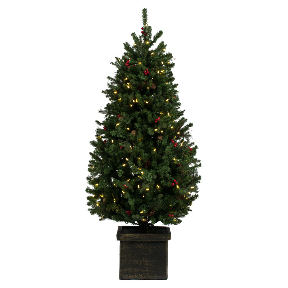 Vickerman 5' x 32” Mixed Berry Pine Dura-Lit 200WW - S182751LED