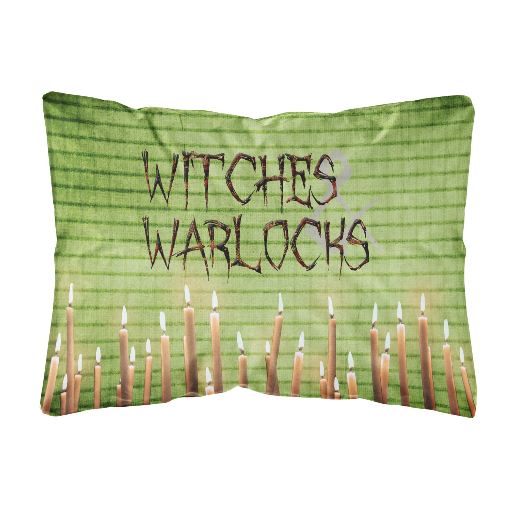 Caroline'S Treasures Witches & Warlocks Halloween Canvas Fabric Decorative Pillow, Large, Multicolor