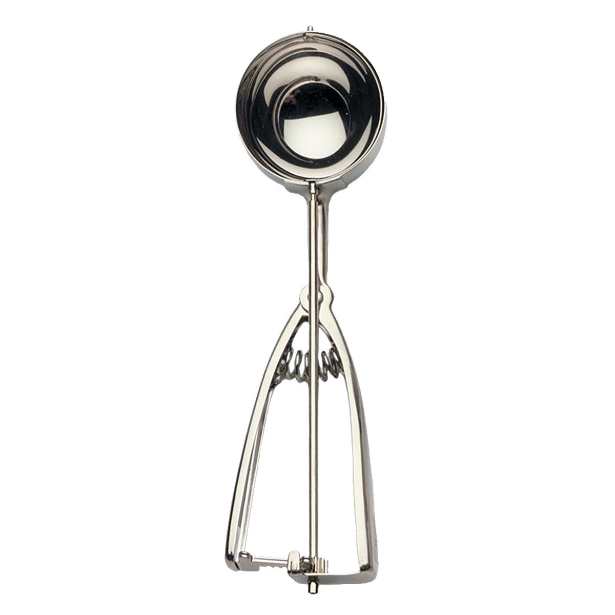12 Spring Scoop