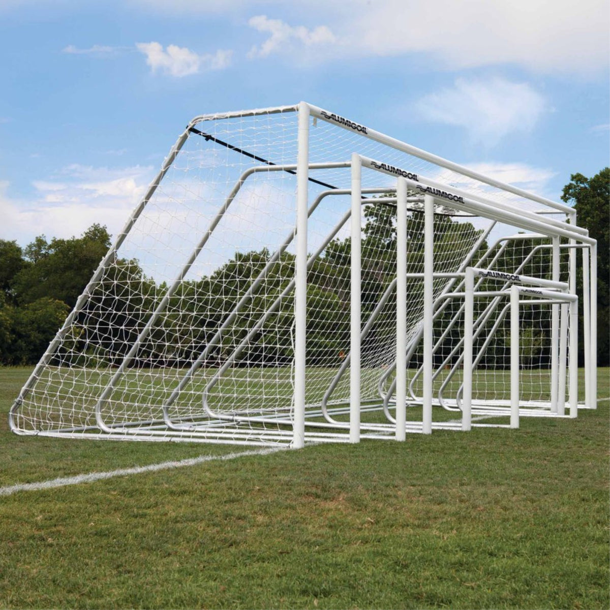 3 Classic Alumagoal 4' X 6' Natural (Pr)