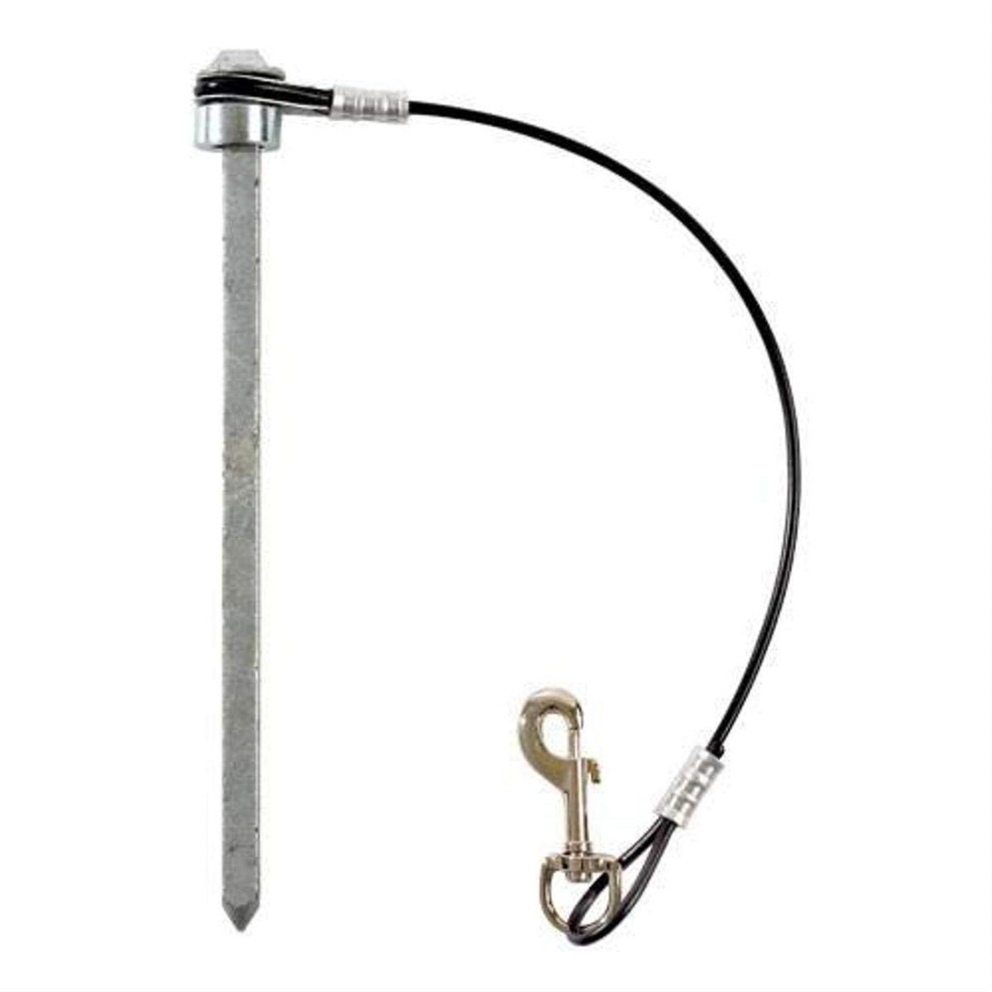Spike With Cable Lanyard