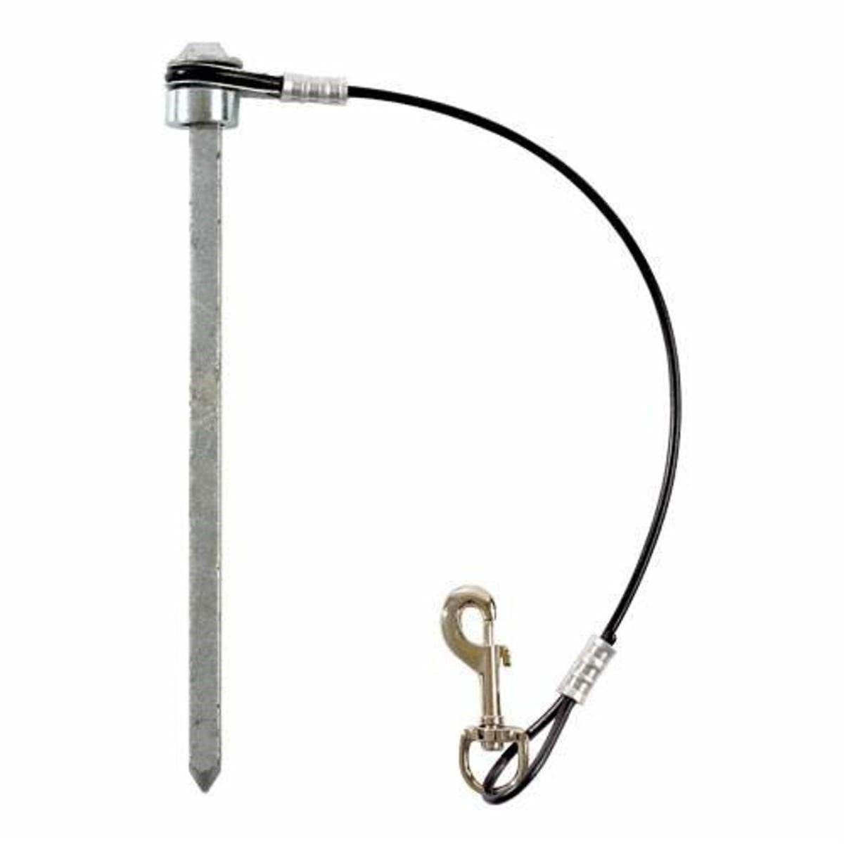 Spike With Cable Lanyard