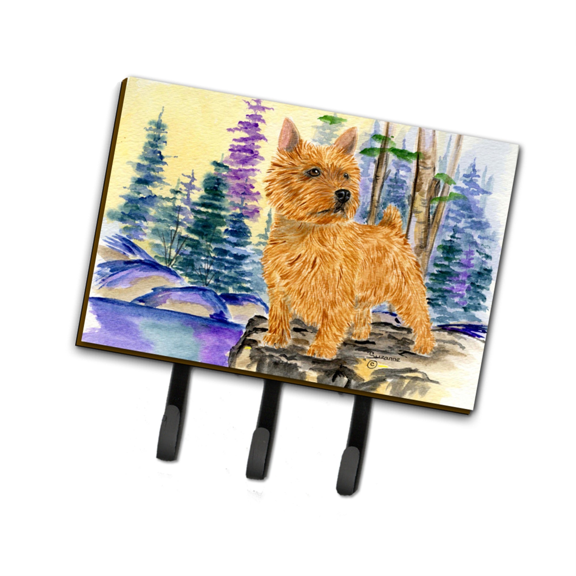 Caroline'S Treasures Ss8011Th68 Norwich Terrier Leash Holder Or Key Hook, Large, Multicolor