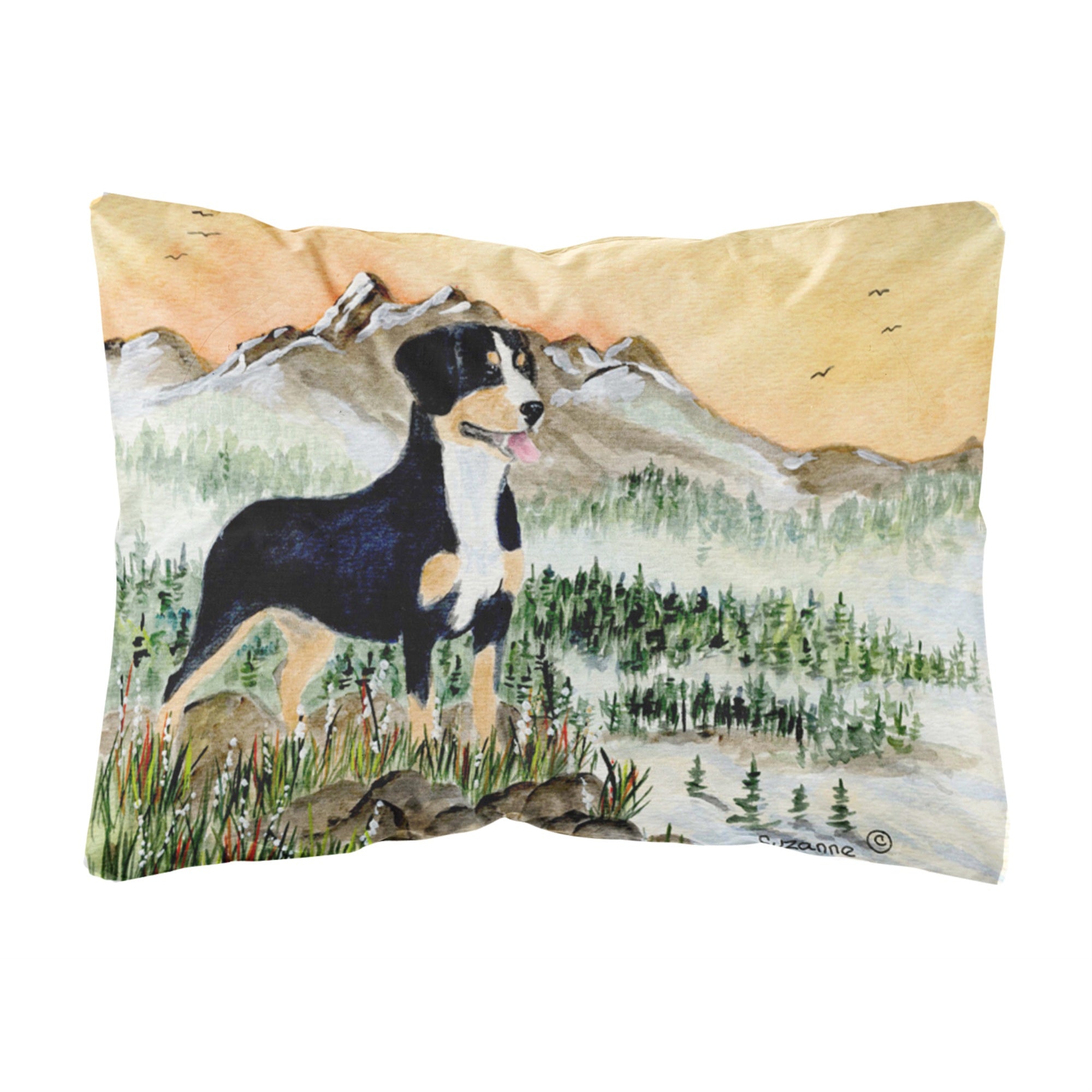 Caroline'S Treasures Ss8119Pw1216 Entlebucher Mountain Dog Decorative Canvas Fabric Pillow, Large, Multicolor
