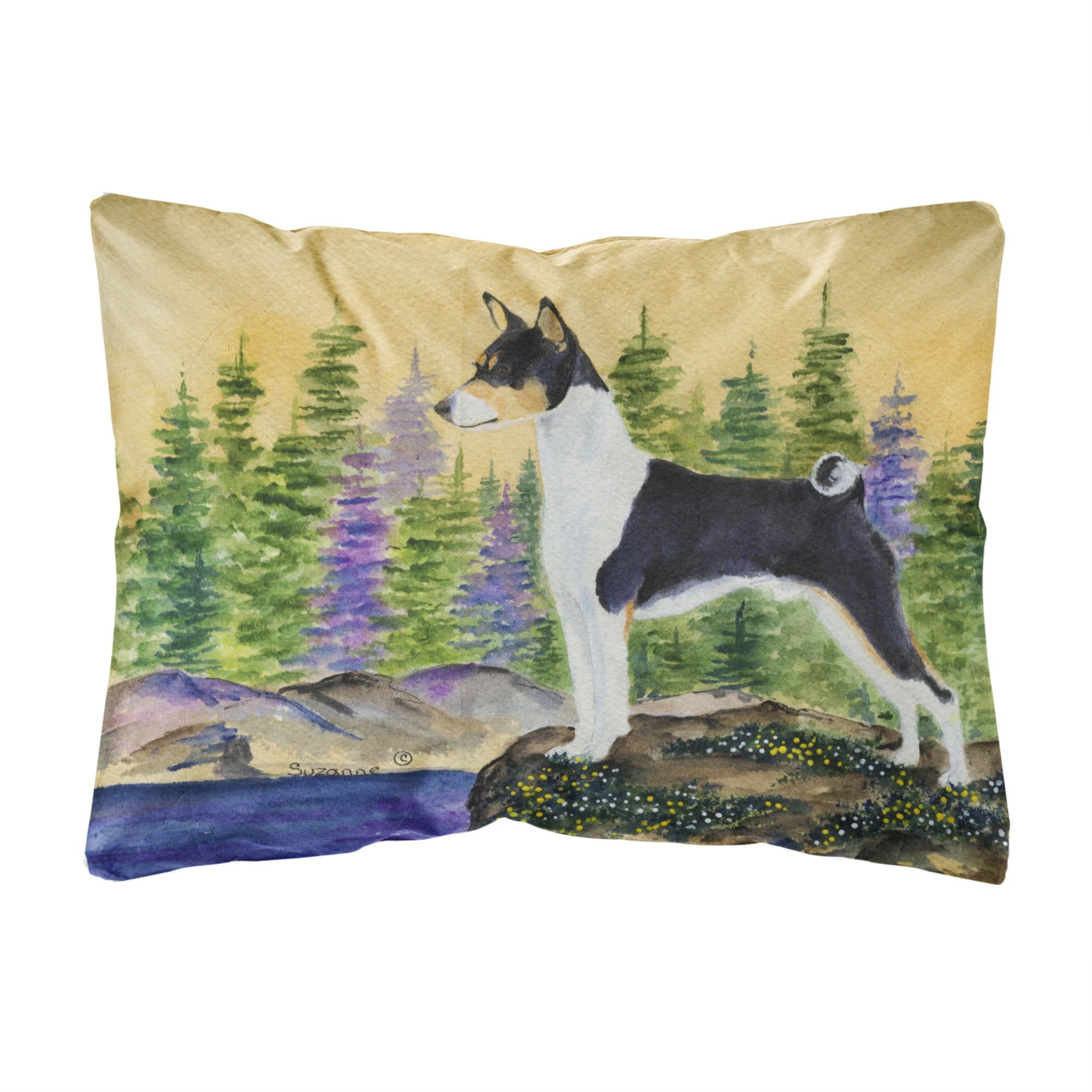 Caroline'S Treasures Ss8201Pw1216 Basenji Decorative Canvas Fabric Pillow, Large, Multicolor