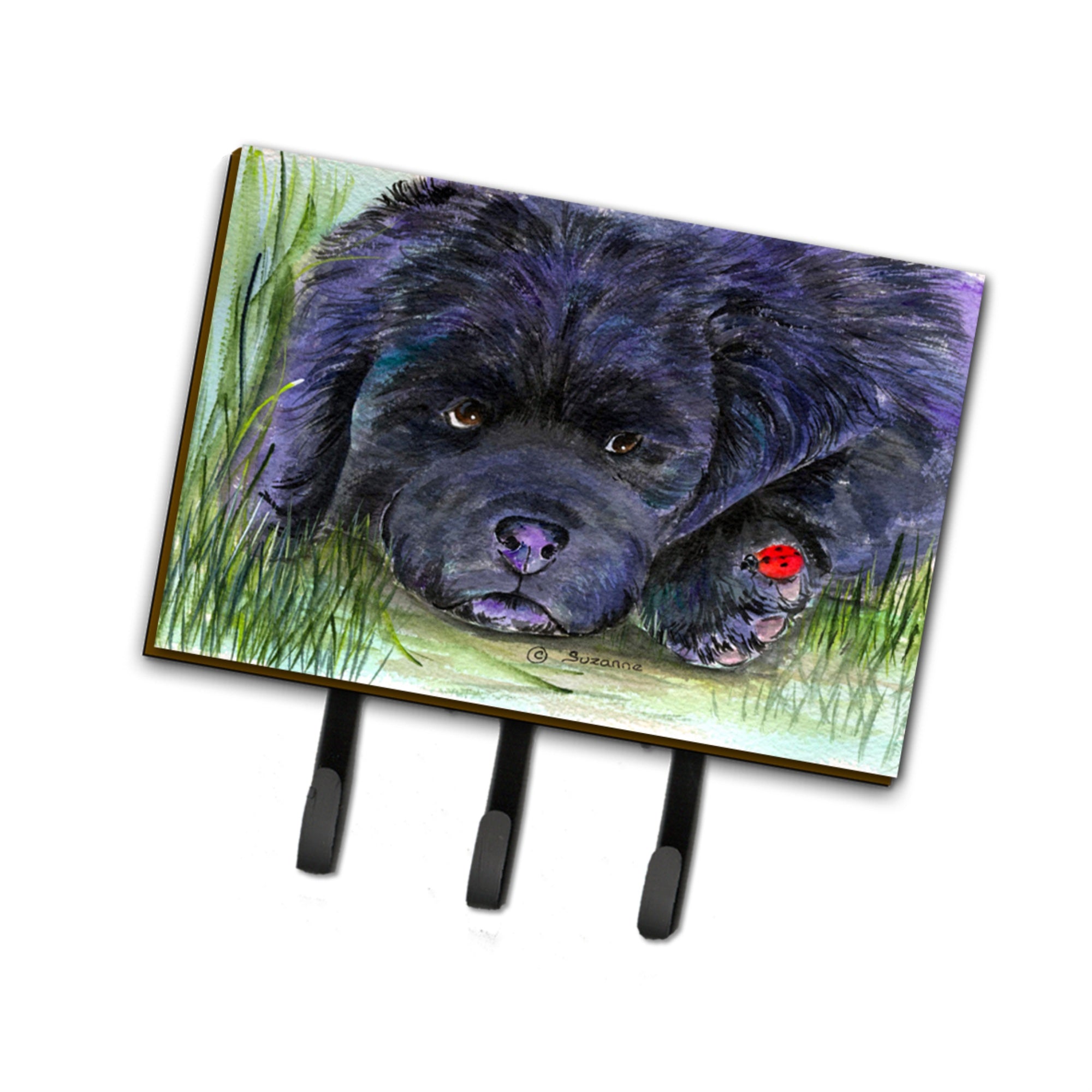 Caroline'S Treasures Ss8272Th68 Newfoundland Leash Holder Or Key Hook, Large, Multicolor