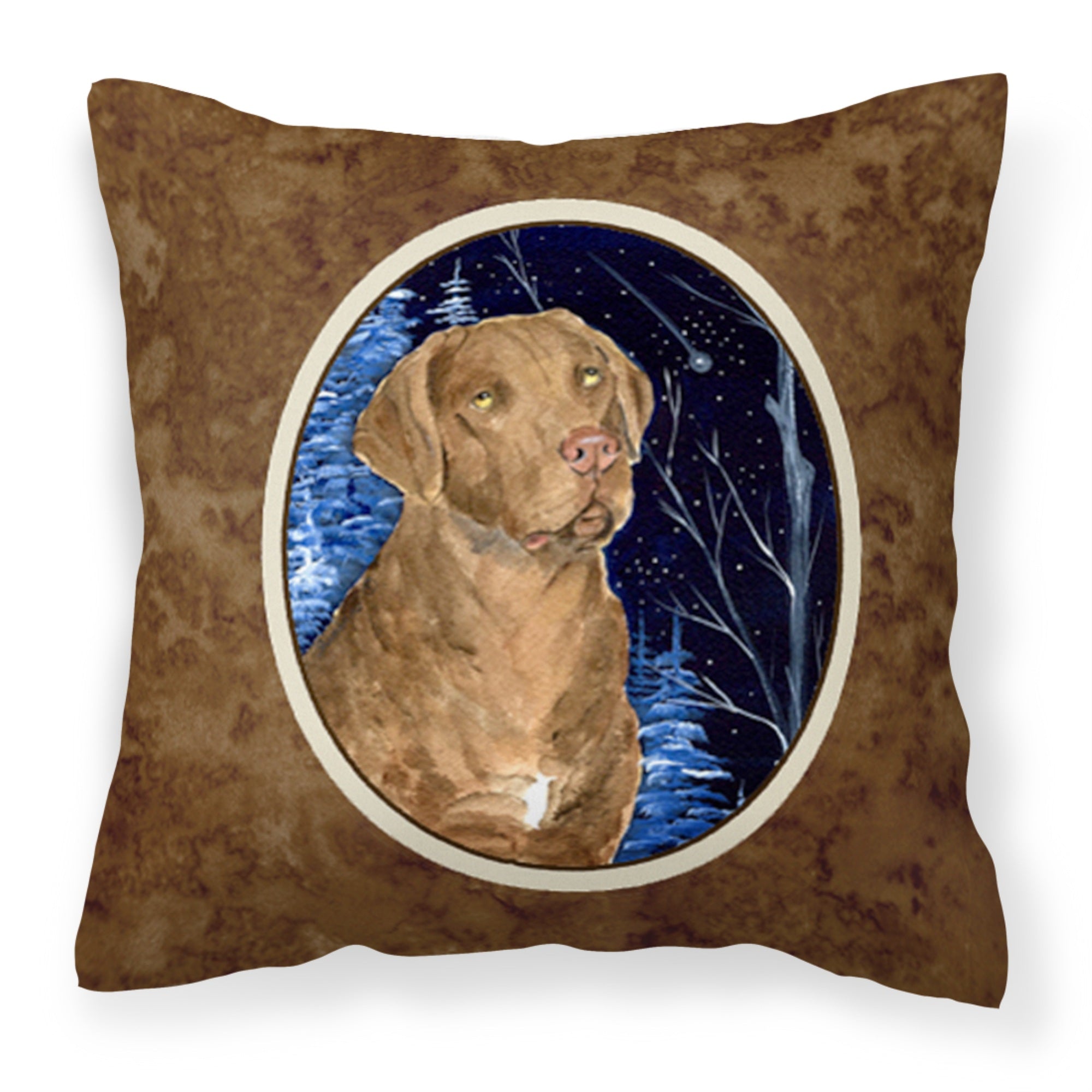 Caroline'S Treasures Ss8384Pw1414 Starry Night Chesapeake Bay Retriever Fabric Pillow, Large, Multicolor