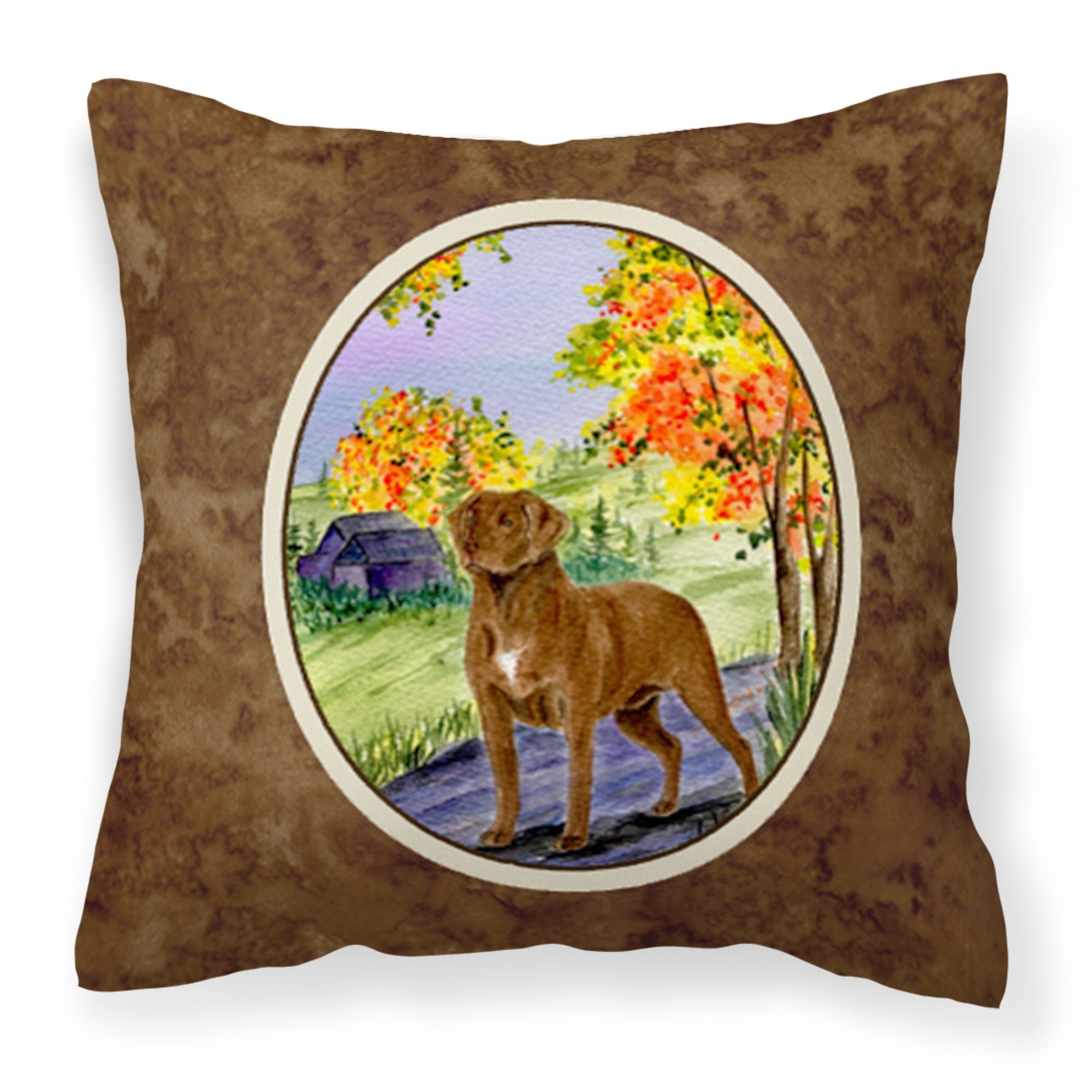 Caroline'S Treasures Ss8427Pw1414 Chesapeake Bay Retriever Decorative Canvas Fabric Pillow, Large, Multicolor