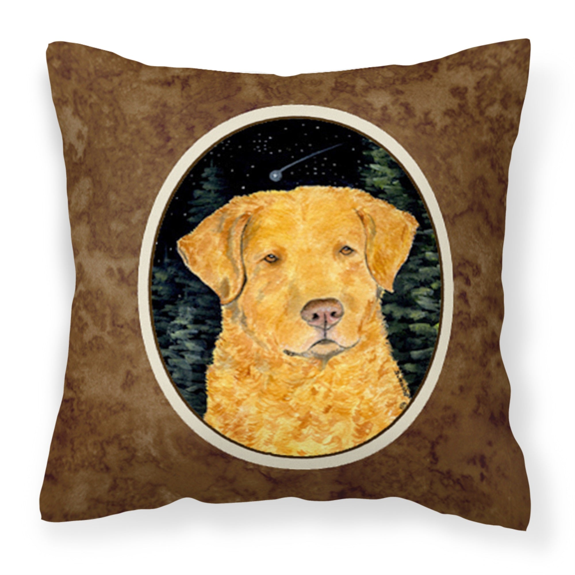 Caroline'S Treasures Ss8487Pw1414 Starry Night Chesapeake Bay Retriever Fabric Pillow, Large, Multicolor