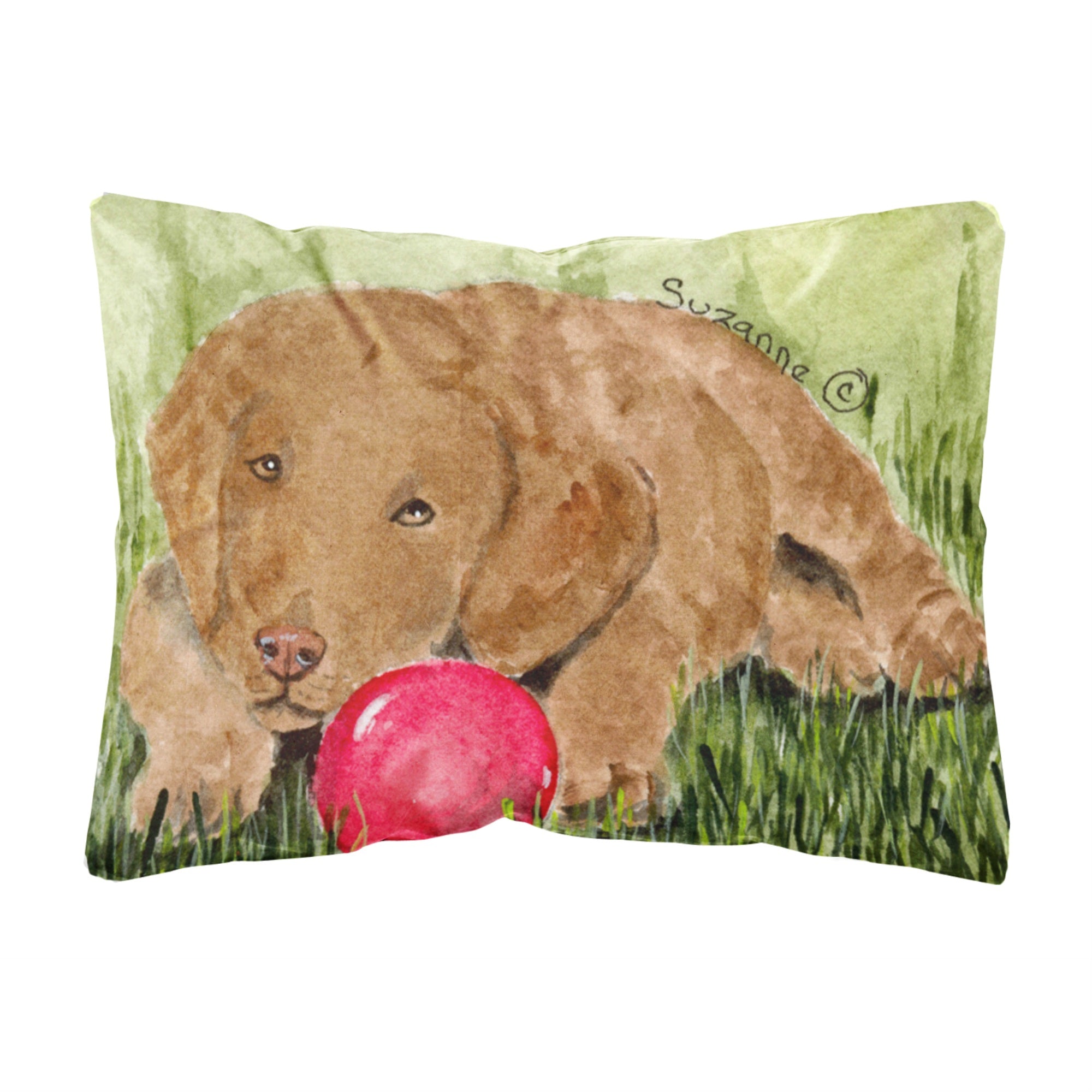 Caroline'S Treasures Ss8684Pw1216 Curly Coated Retriever Decorative Canvas Fabric Pillow, Large, Multicolor
