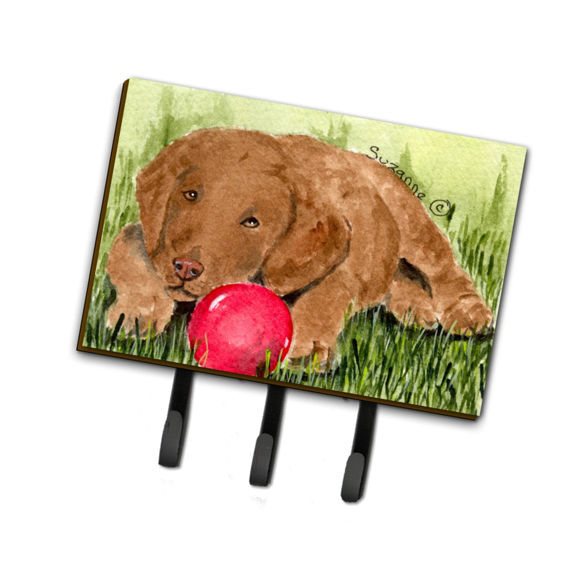 Caroline'S Treasures Ss8684Th68 Curly Coated Retriever Leash Holder Or Key Hook, Large, Multicolor