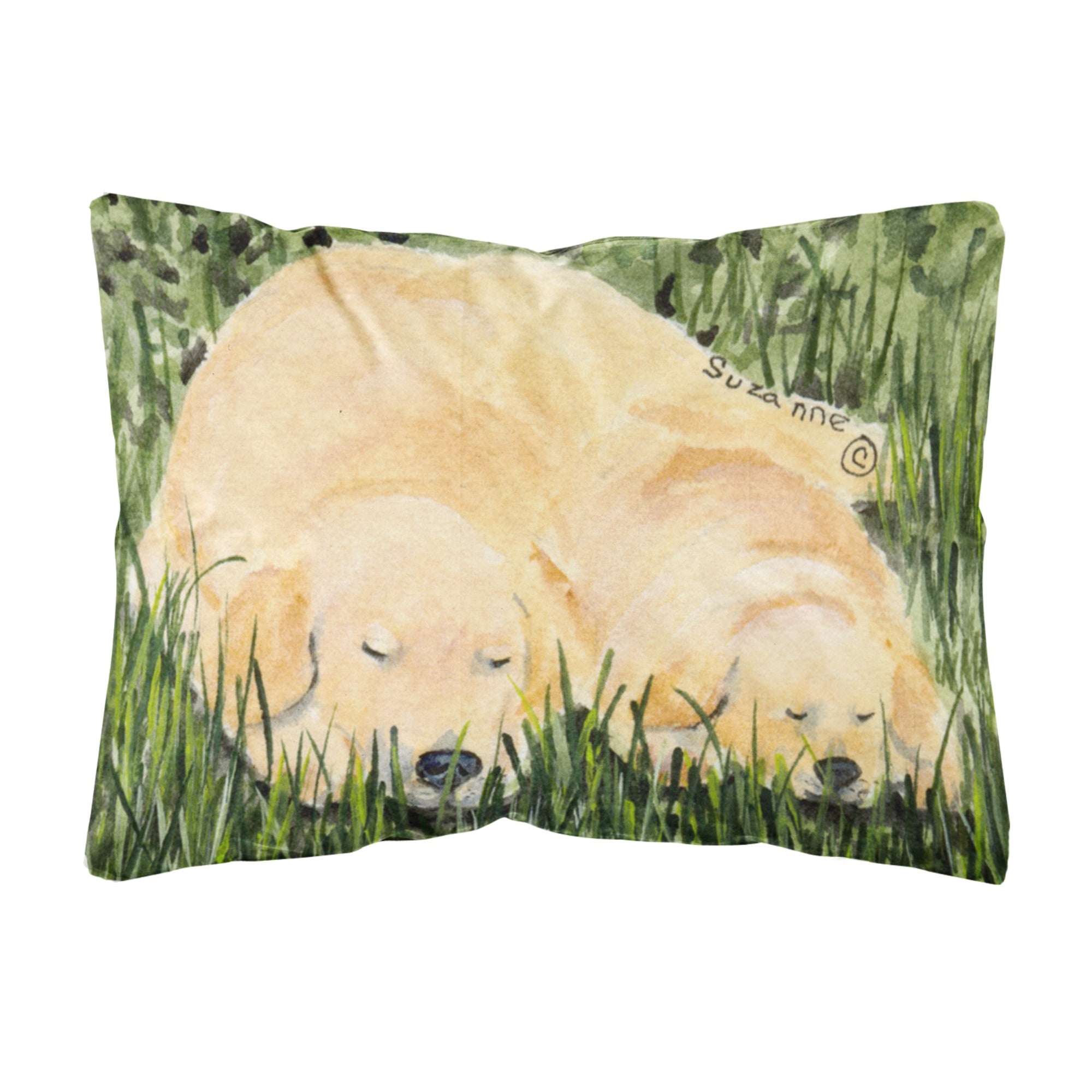 Caroline'S Treasures Ss8838Pw1216 Golden Retriever Decorative Canvas Fabric Pillow, Large, Multicolor