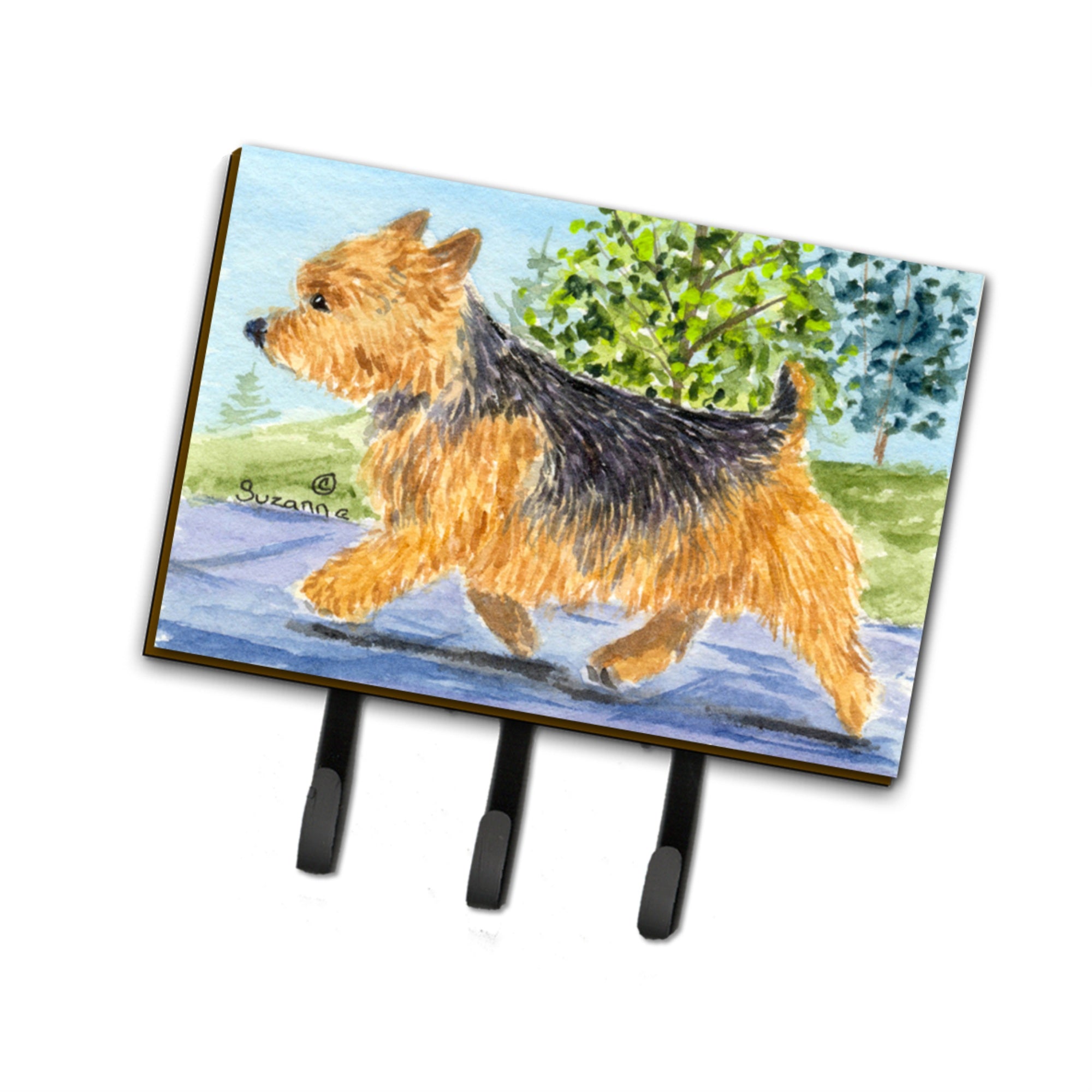 Caroline'S Treasures Ss8879Th68 Norwich Terrier Leash Holder Or Key Hook, Large, Multicolor