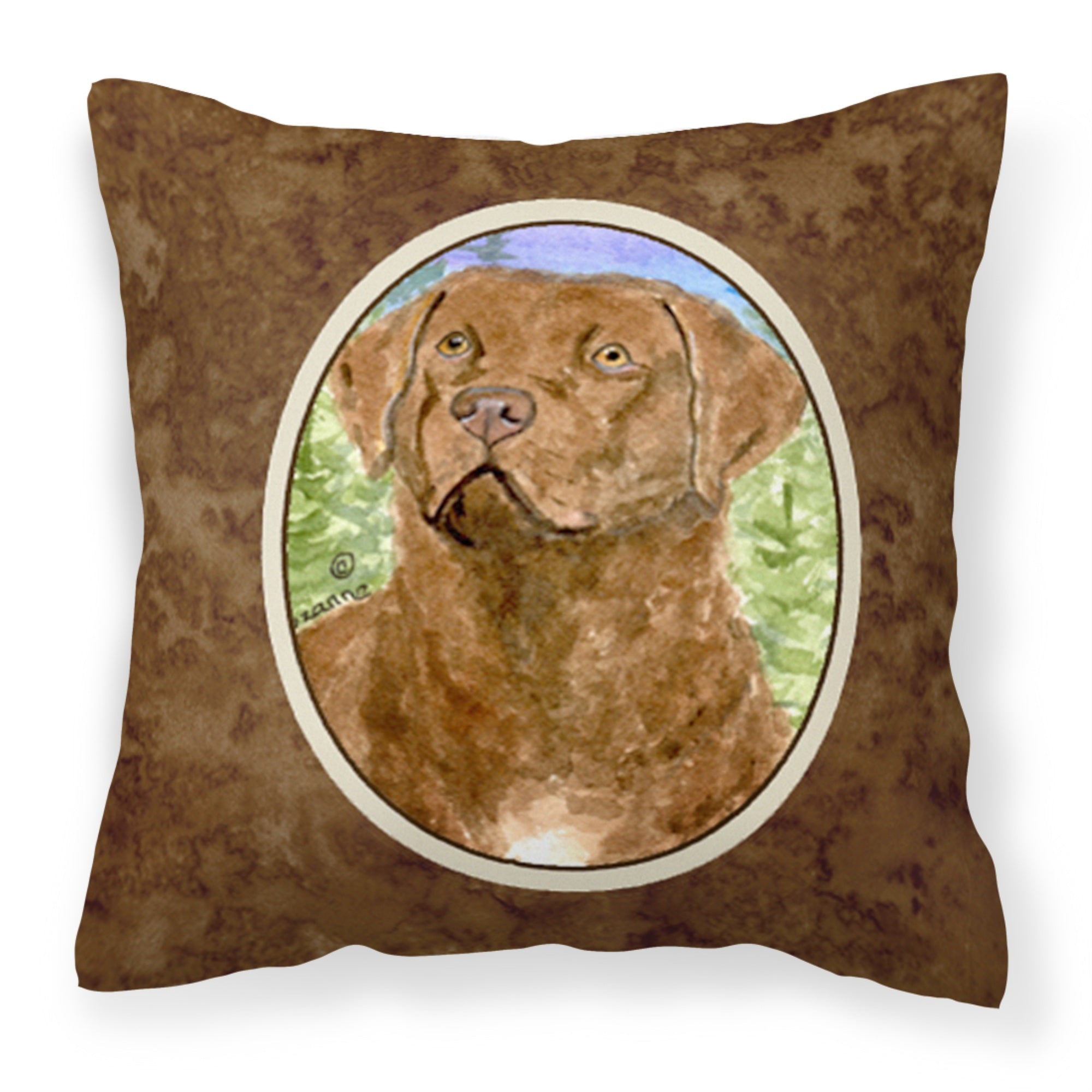 Caroline'S Treasures Ss8933Pw1414 Chesapeake Bay Retriever Decorative Canvas Fabric Pillow, Large, Multicolor