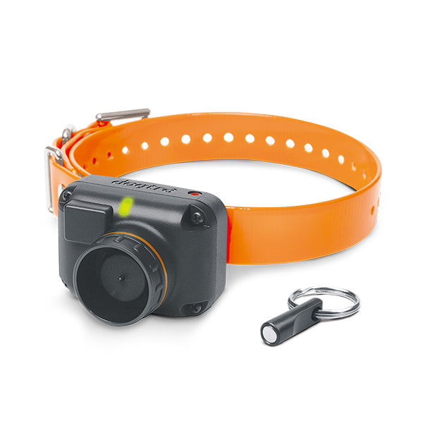 Stb Beeper Collar - Hawk Version