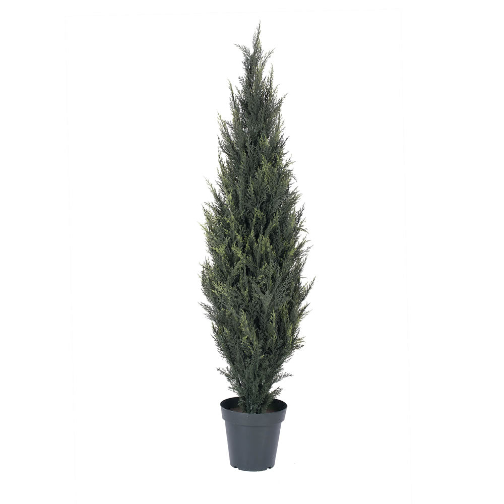 Vickerman 5' UV Pond Cypress Tree w/1543 Lvs - T160160