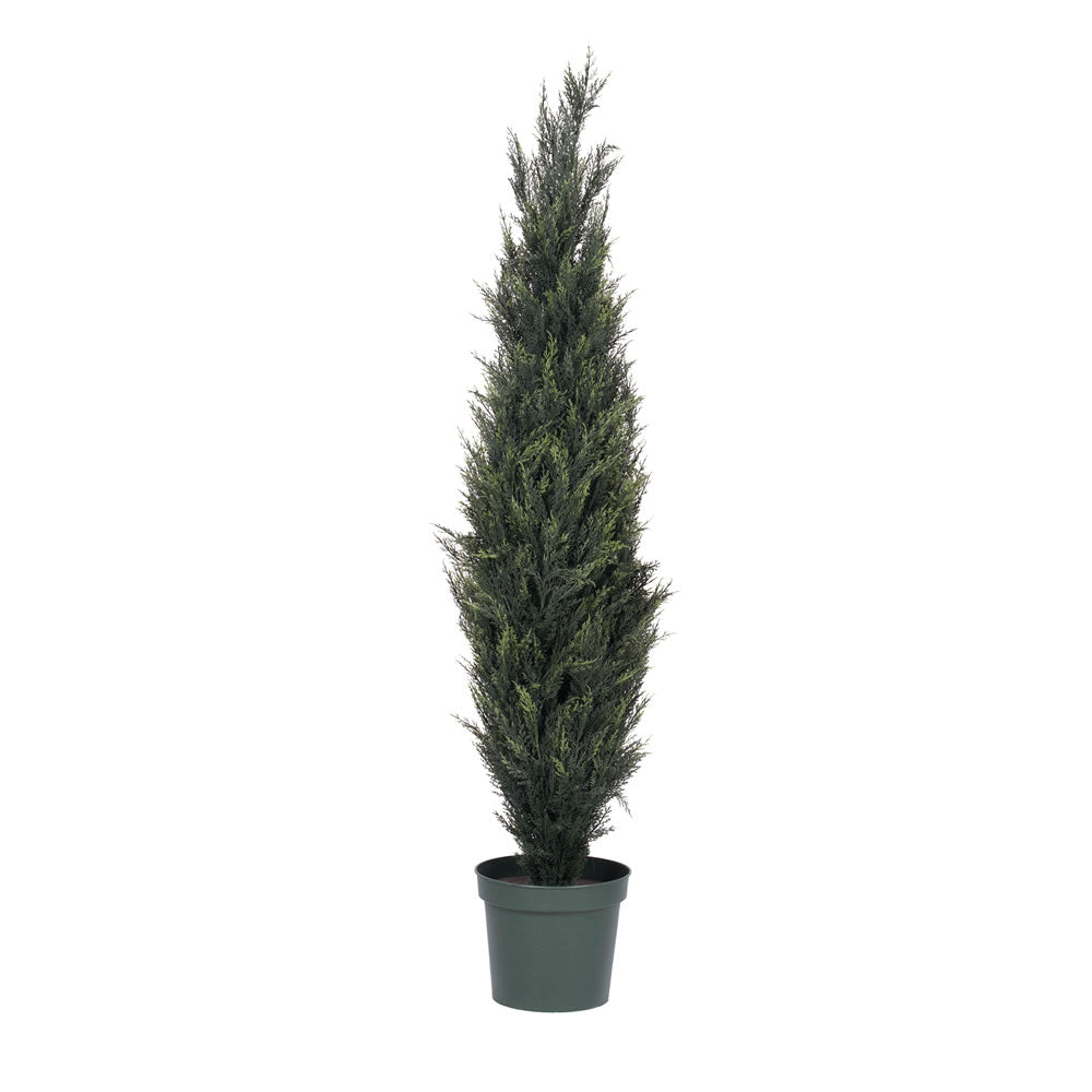 Vickerman 6' UV Pond Cypress Tree w/2318 Lvs - T160172