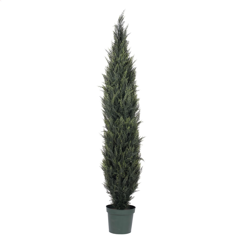 Vickerman 7' UV Pond Cypress Tree w/3901 Lvs - T160184