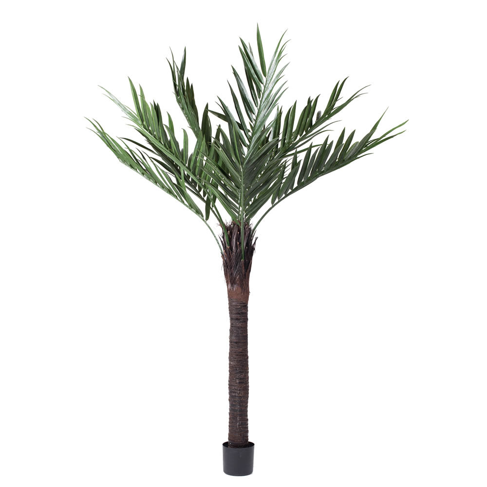 Vickerman 72″ UV Kentia Palm w/ 252 Lvs - T160572