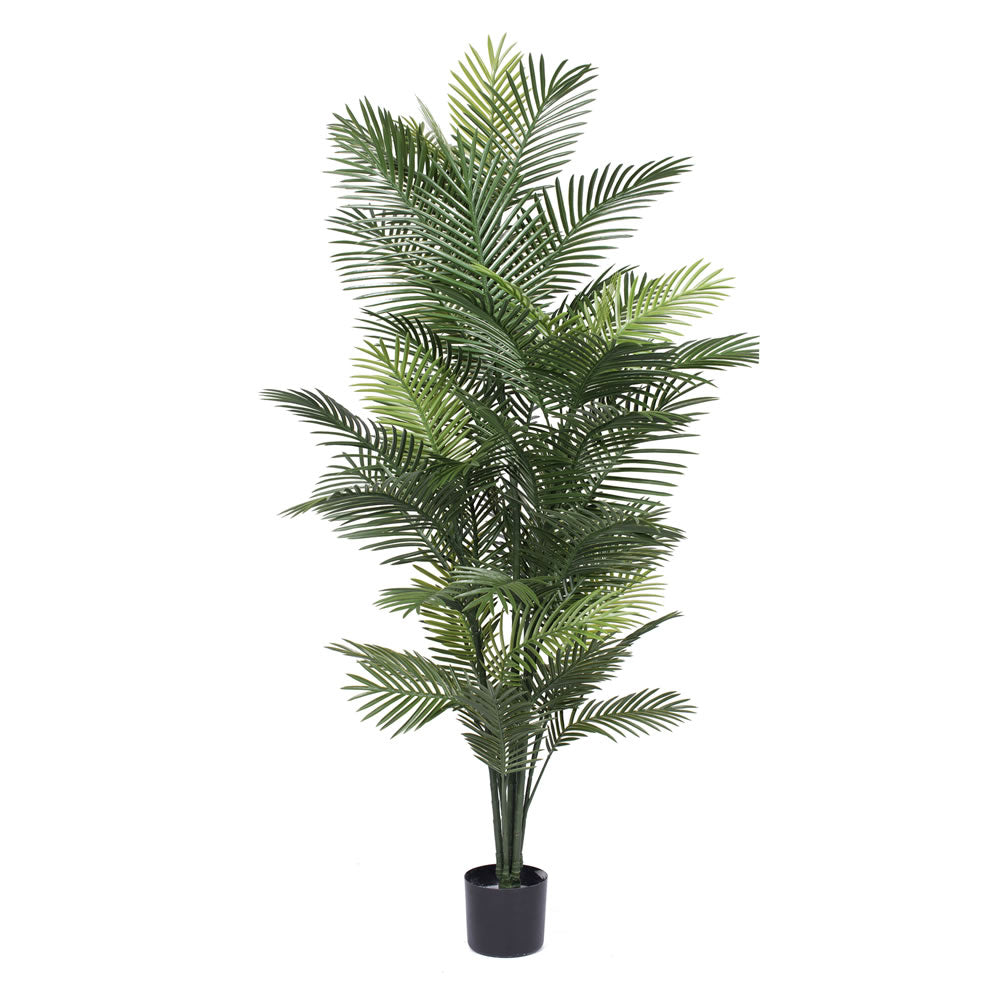 Vickerman 72″ UV Robellini Palm Tree w/57 Lvs - T160872