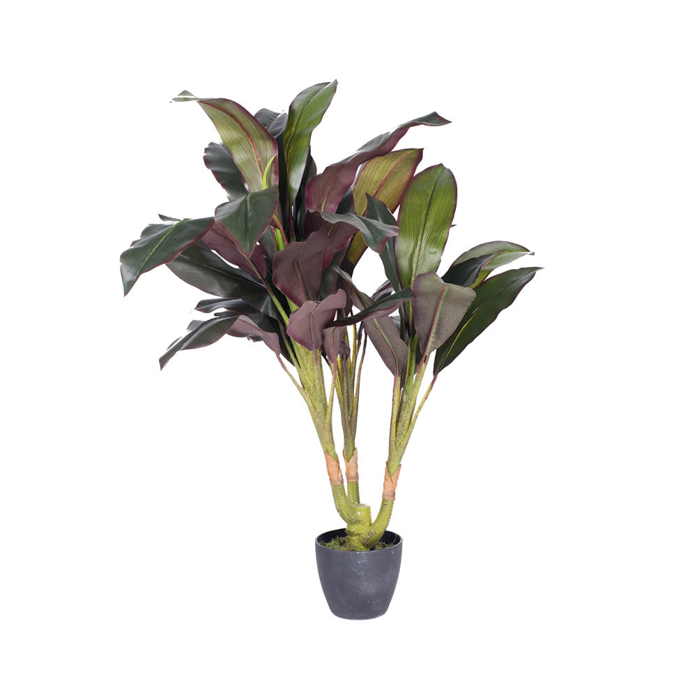 Vickerman 30″ Real Touch Dracaena in pot - T160930