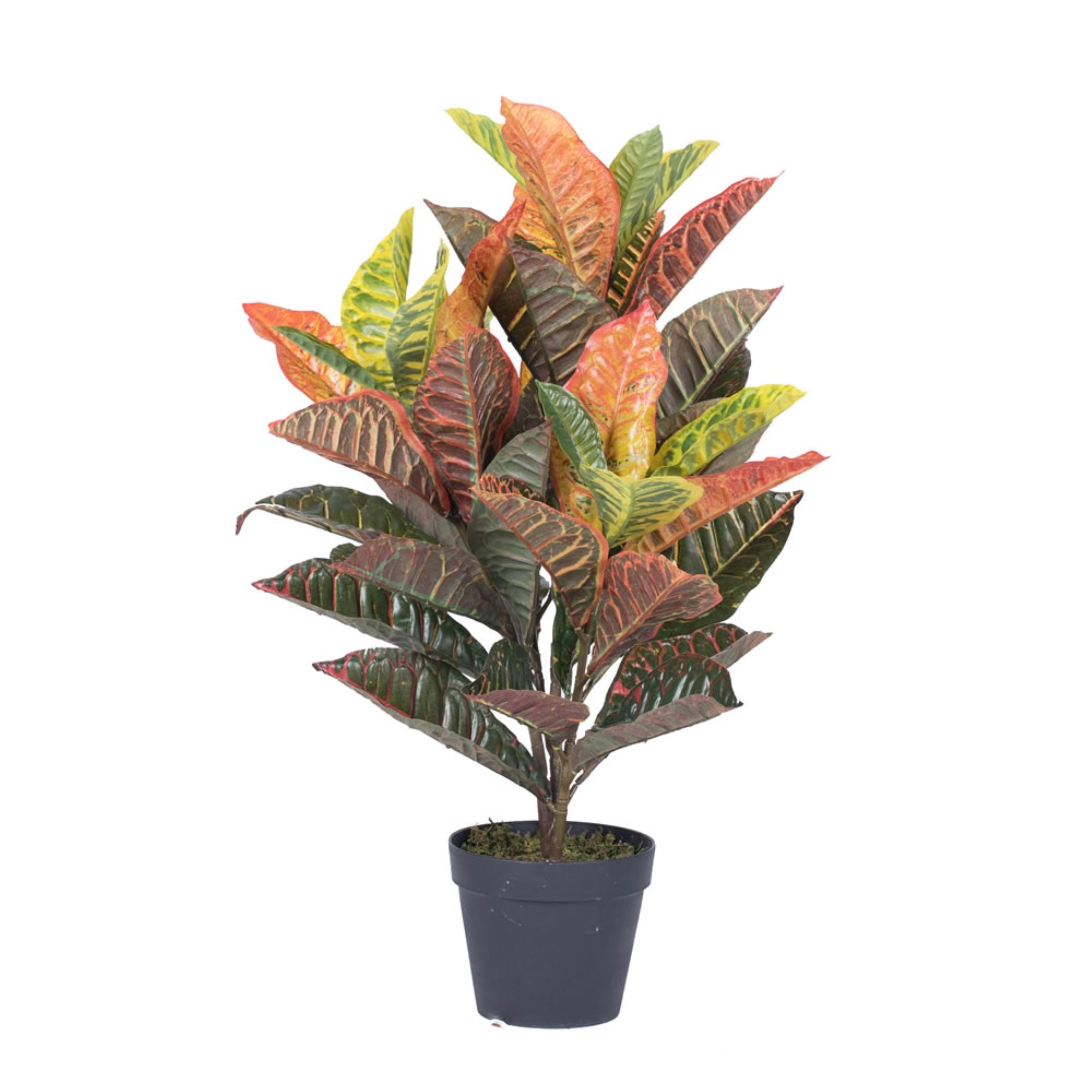 Vickerman 30″ Artificial Croton Real Touch Potted Plant.