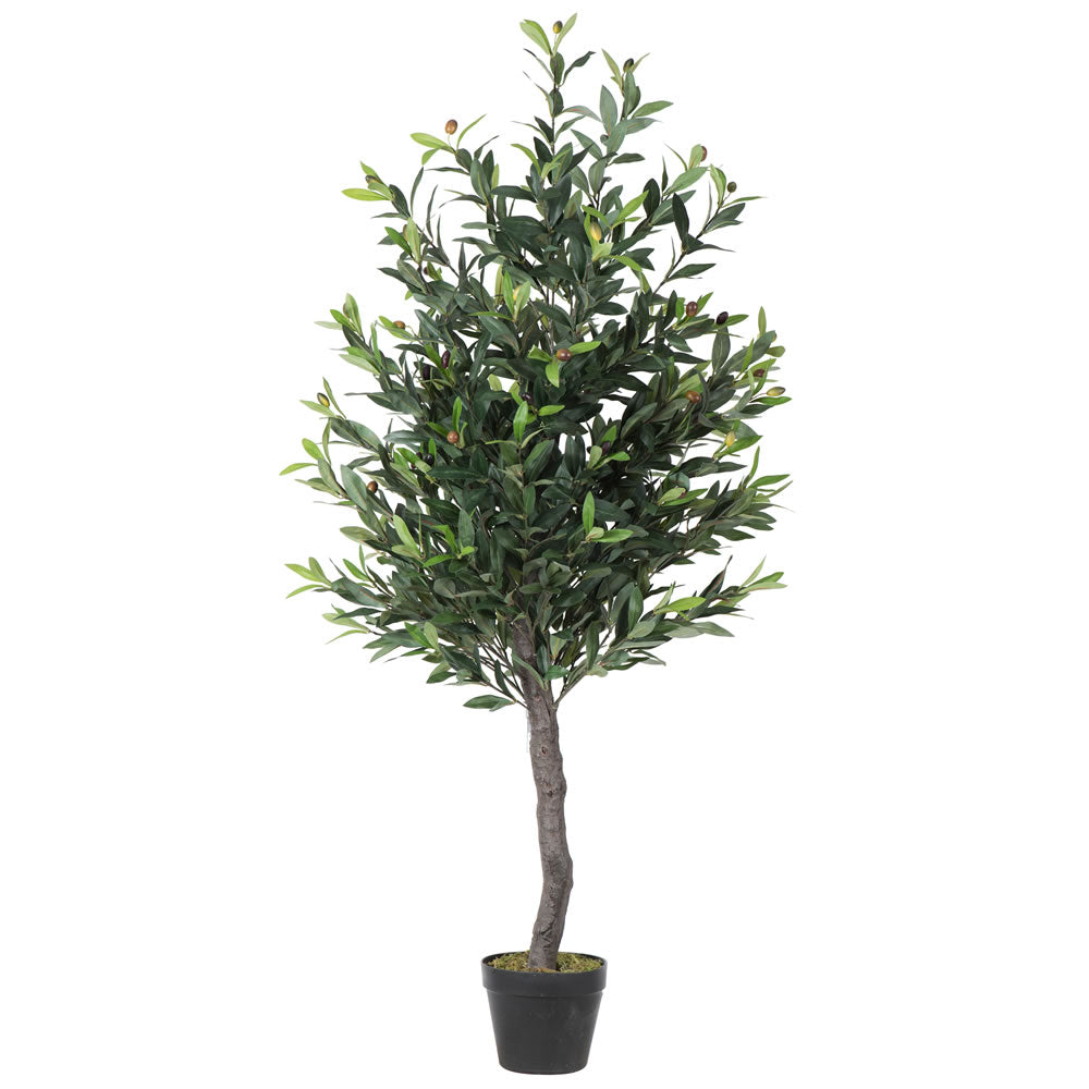 Vickerman 50″  Olive Tree in Pot - T161350