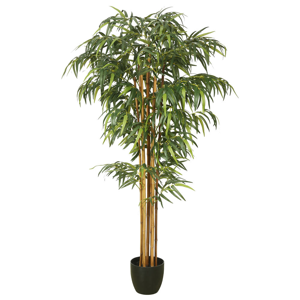 Vickerman 6' Bamboo Tree w/pot-Green - TA170101