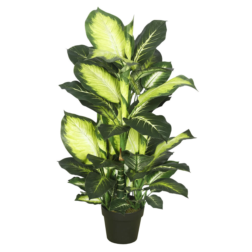 Vickerman 40″ Dieffenbachia w/pot-Green White - TA170201