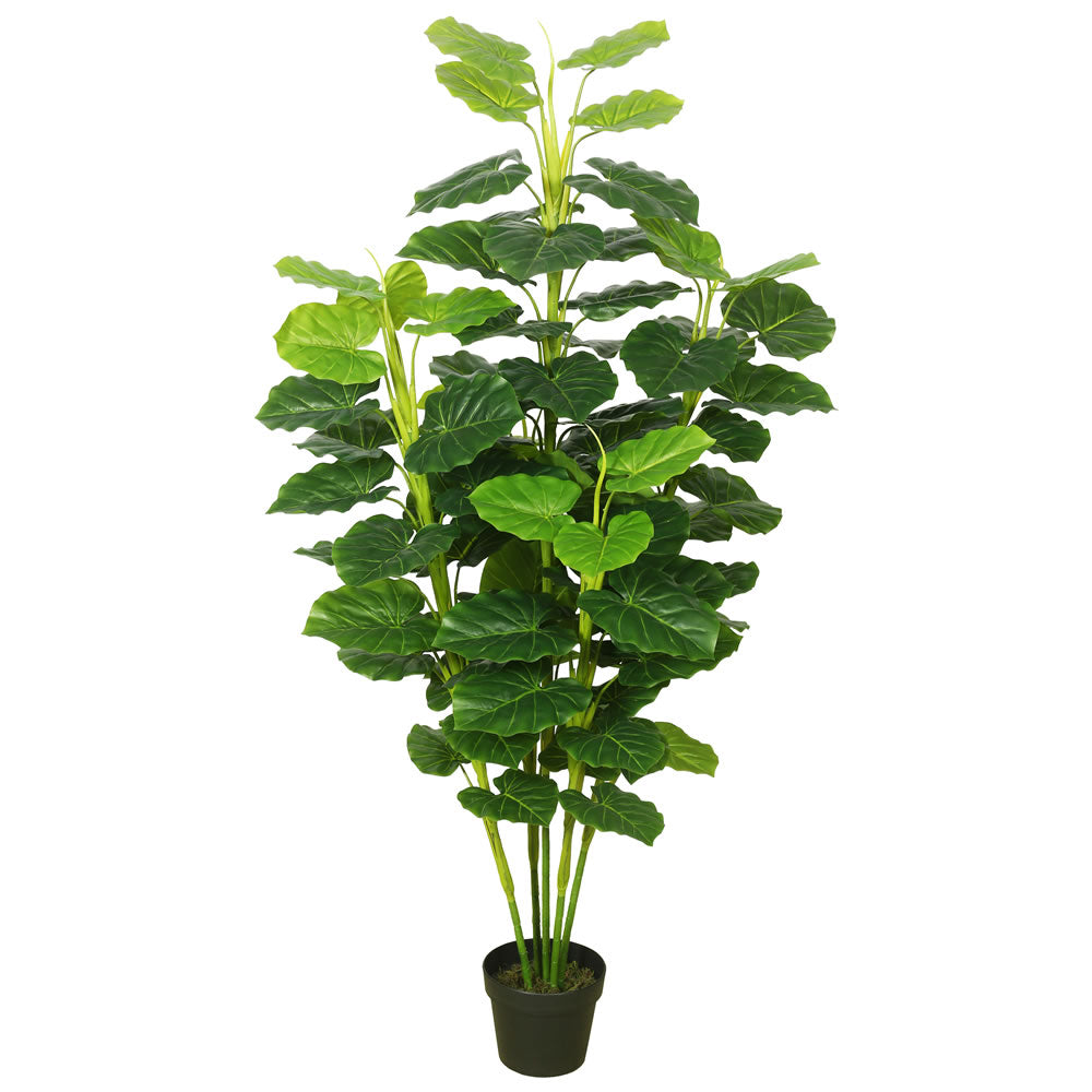 Vickerman 64″ Fresh Philodendron w/Pot-Green - TA170401