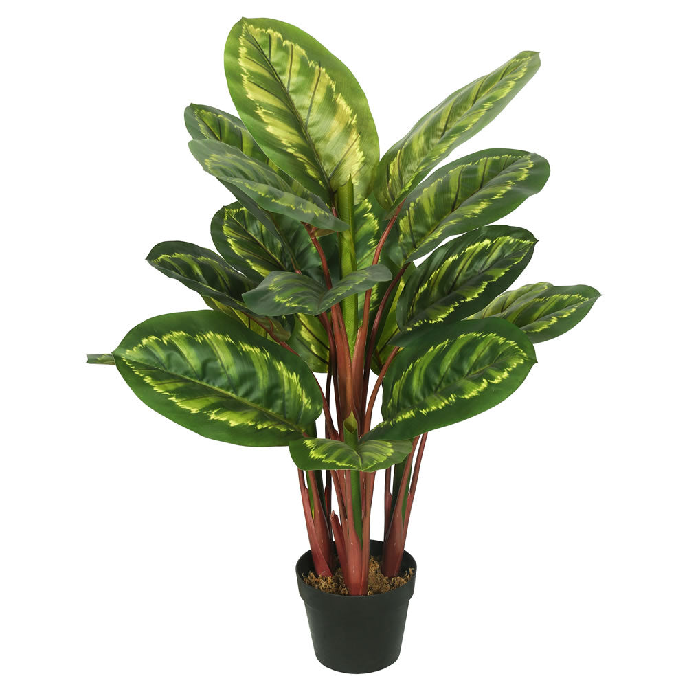 Vickerman 36″ Peacock Plant w/Pot-Grn/Brn - TA170501