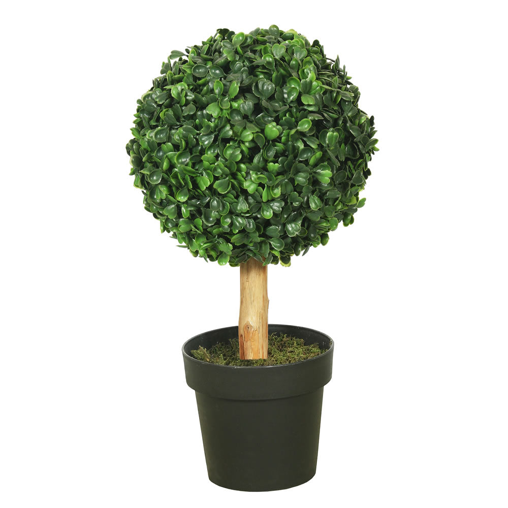 Vickerman 10″ Boxwood Topiary w/5″ Pot-7″ Ball - TA170801