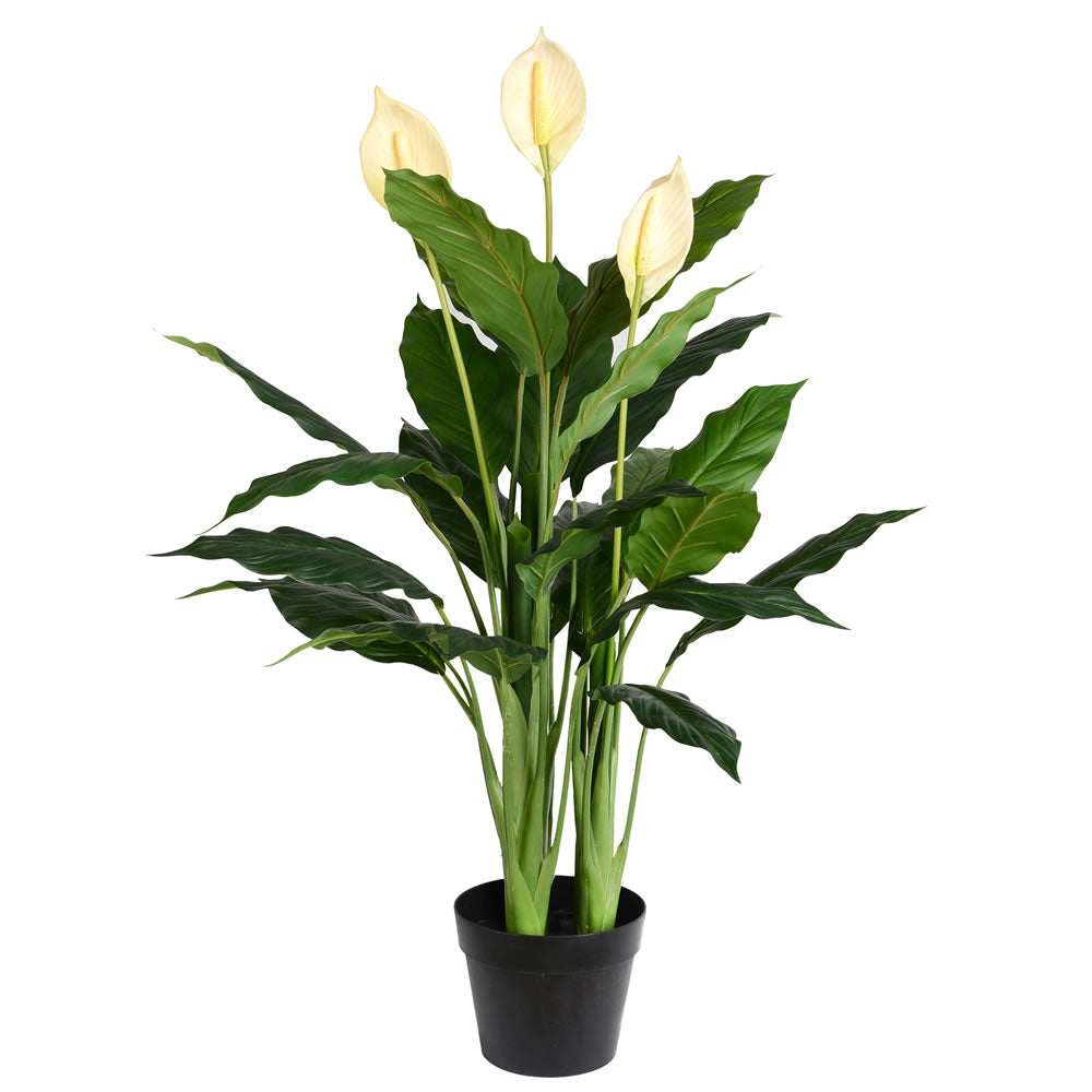 Vickerman 37” Green Peace Lily in Pot 27 Leaves - TA181501