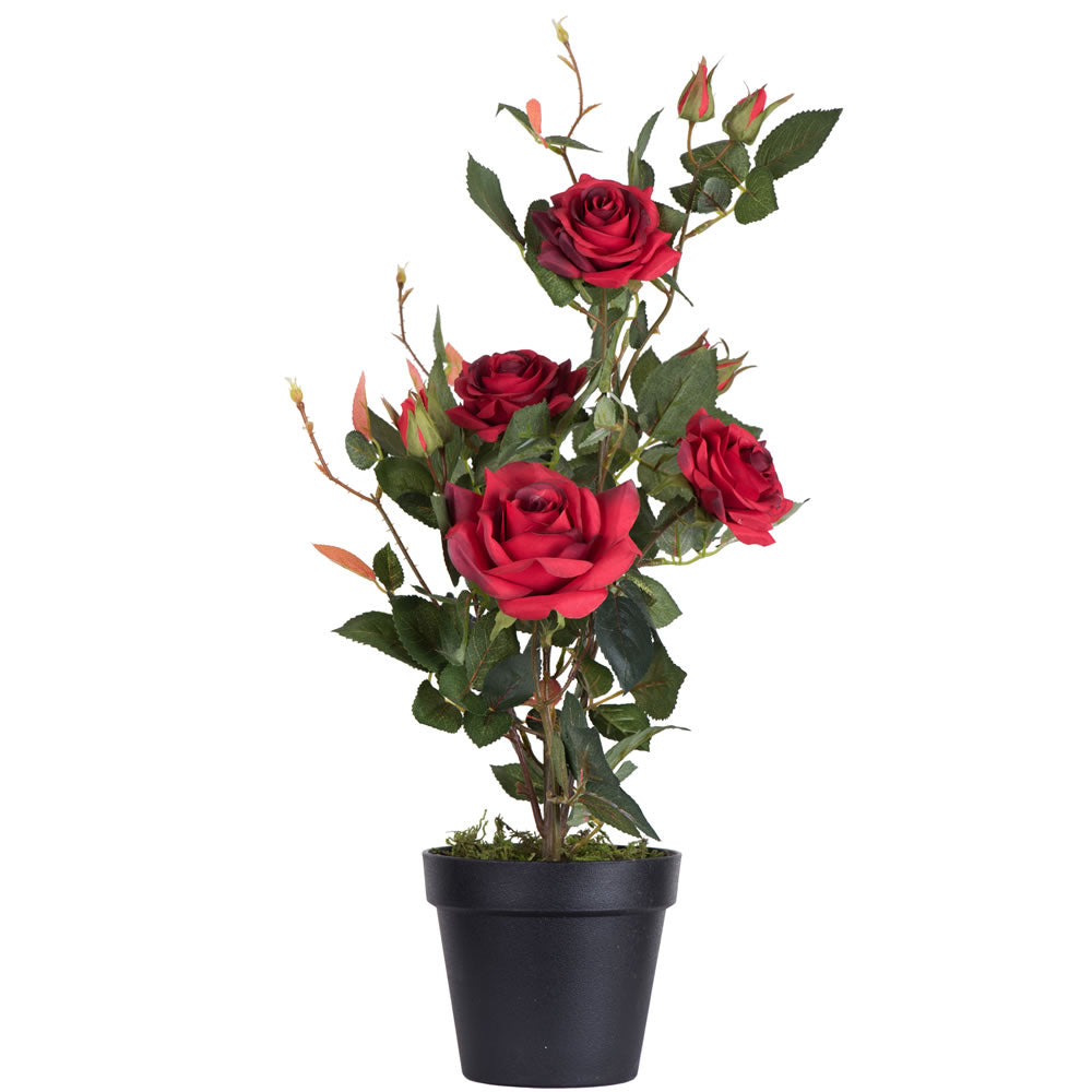 Vickerman 21” Red Rose Plant in Pot - TA181703