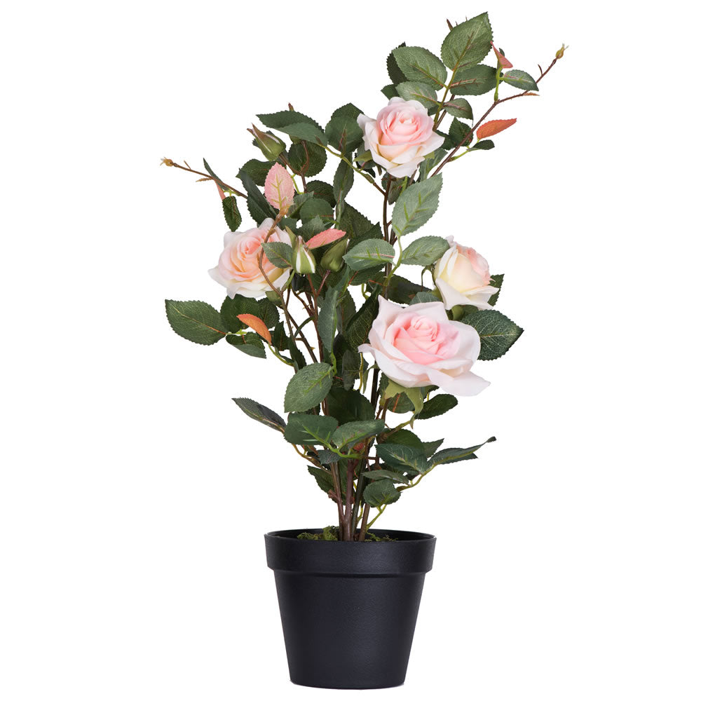Vickerman 21” Pink Rose Plant in Pot - TA181779