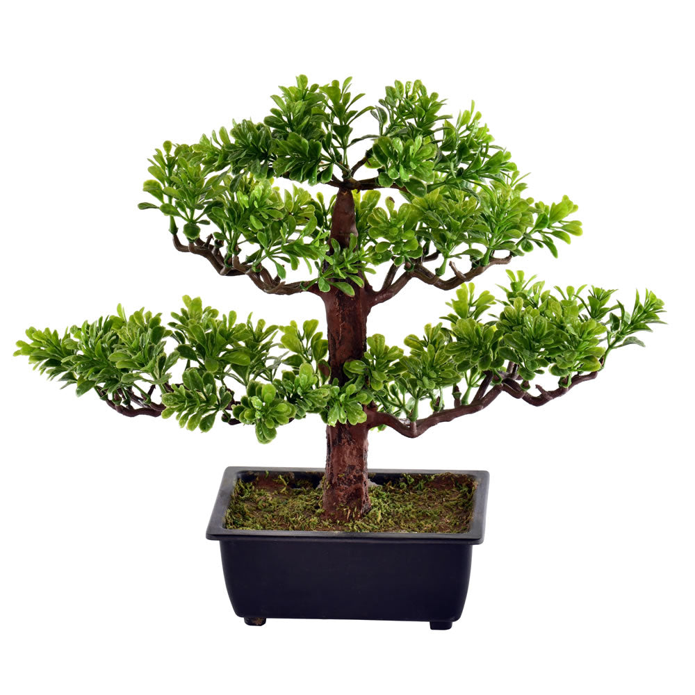 Vickerman 10” Potted Murraya Bonsai Tree - TA192010