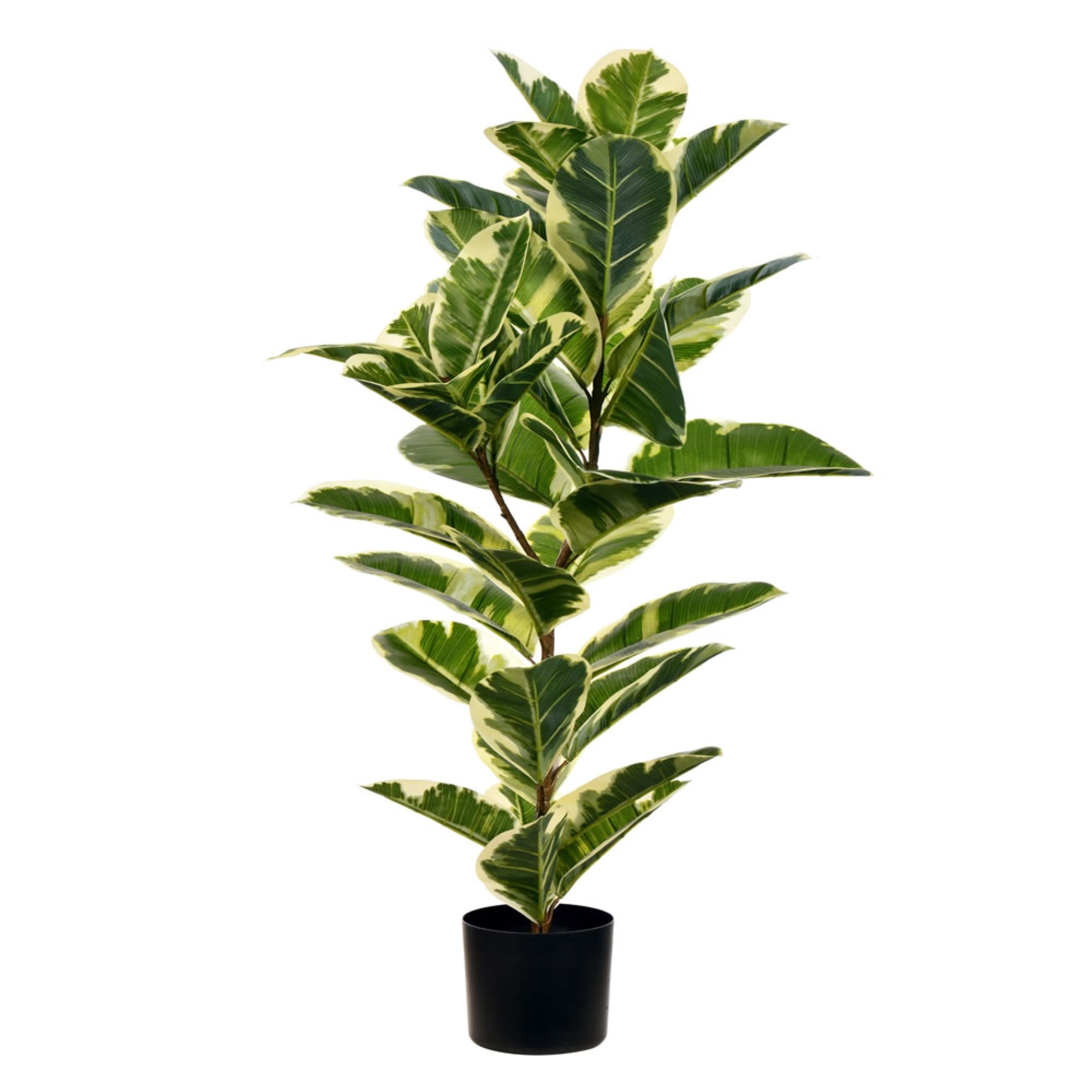 Vickerman 38” Artificial Potted Real Touch Dieffenbachia.
