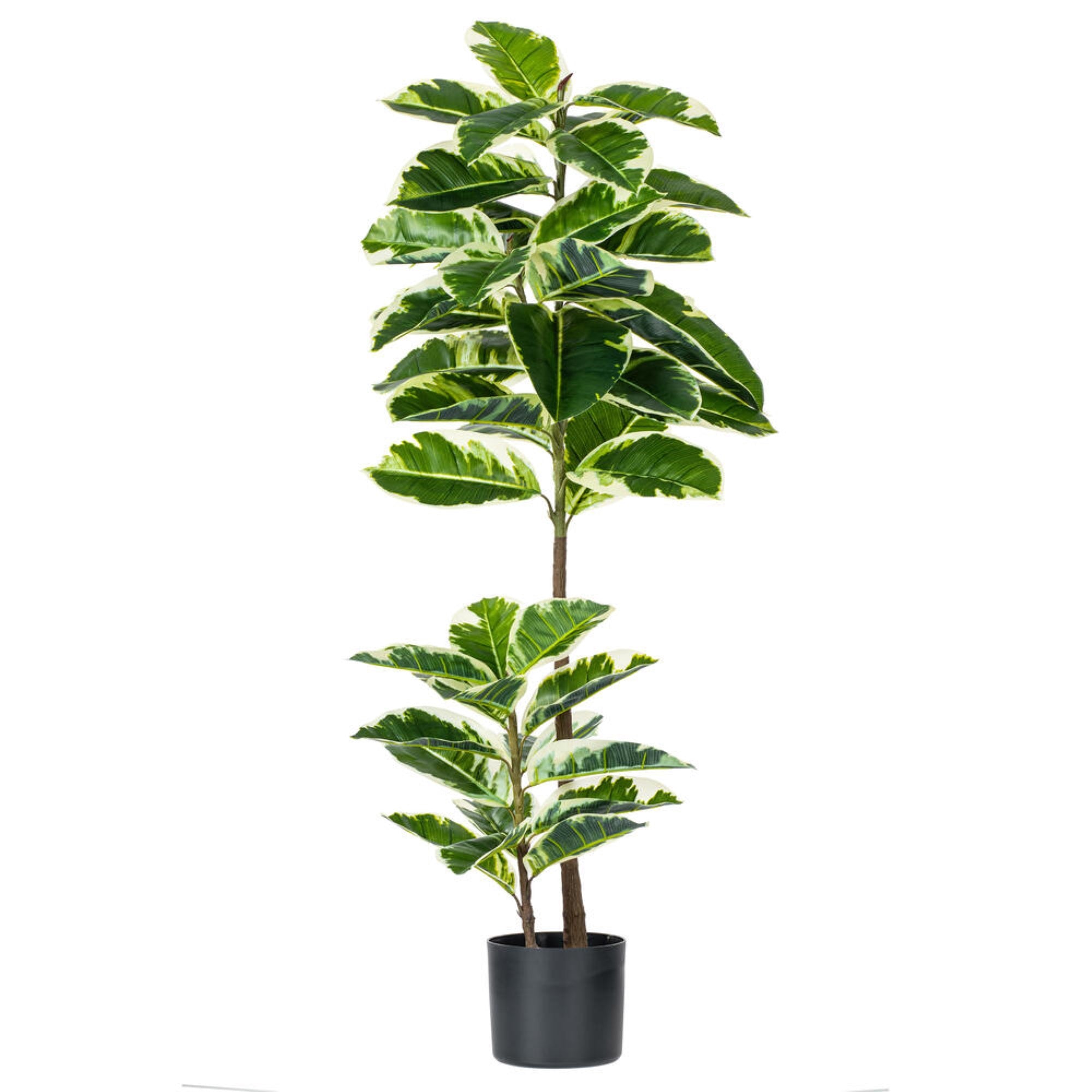 Vickerman 50” Artificial Potted Real Touch Dieffenbachia.