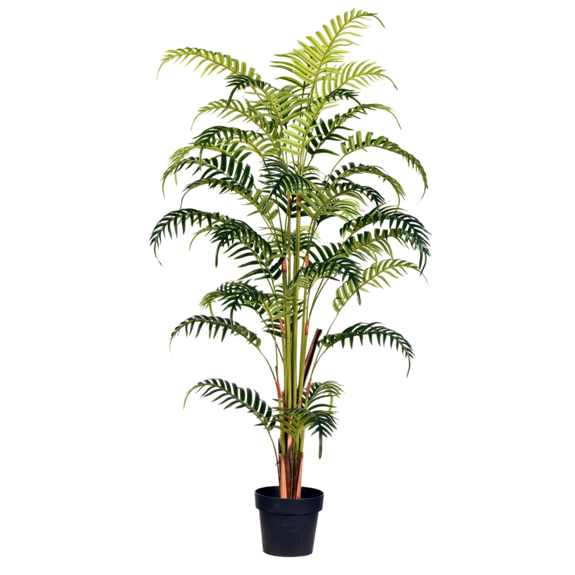 Vickerman 59” Artificial Potted Fern Palm Real Touch Leaves.