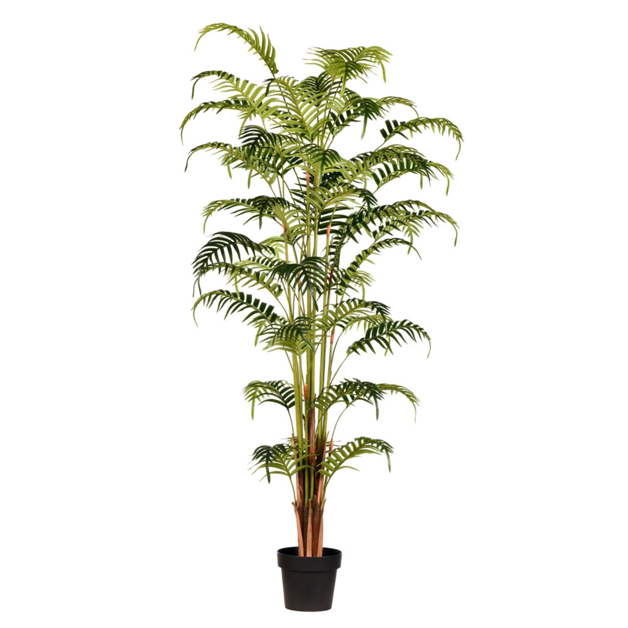 Vickerman 70” Artificial Potted Fern Palm Real Touch Leaves.