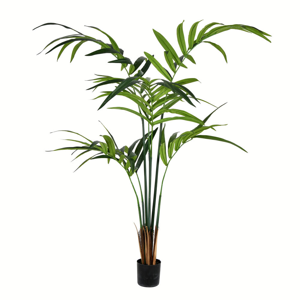 Vickerman 5' Potted Kentia Palm 88 Leaves - TB090550