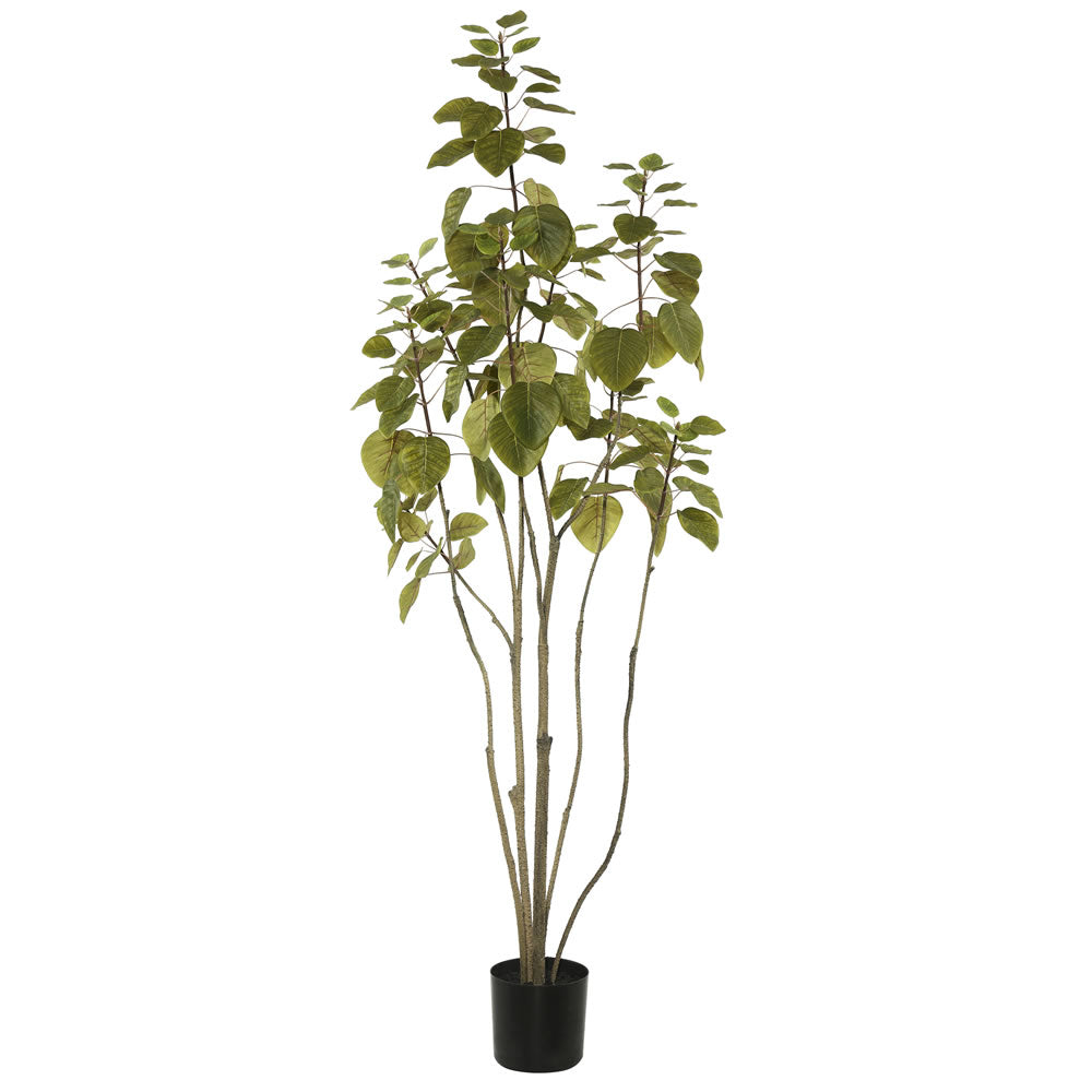 Vickerman 4' Cotinus Coggygria Tree w/Pot-Green - TB170148