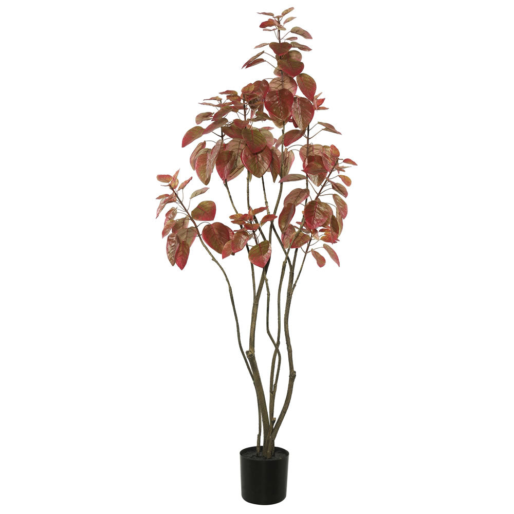 Vickerman 4' Rogot Rurple Tree w/pot-Red - TB170248