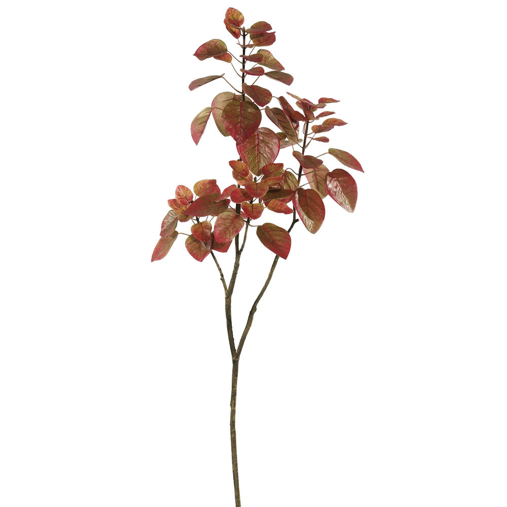 Vickerman 4' Cotinus Coggygria Branch-Red - TB170302