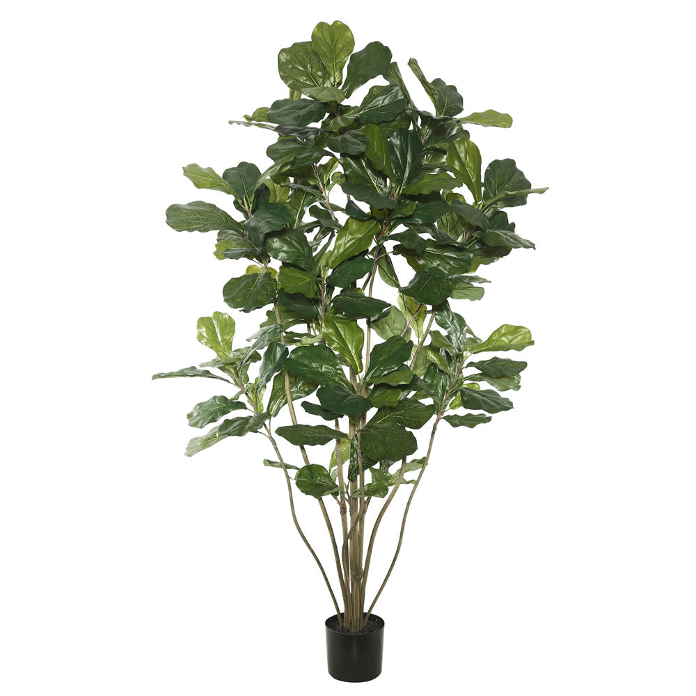 Vickerman 6' Potted Fiddle Tree  W/204 Lvs-Green - TB170472