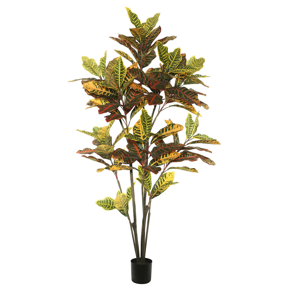 Vickerman 5' Potted Croton  Tree  W/104 Lvs-Green - TB170660